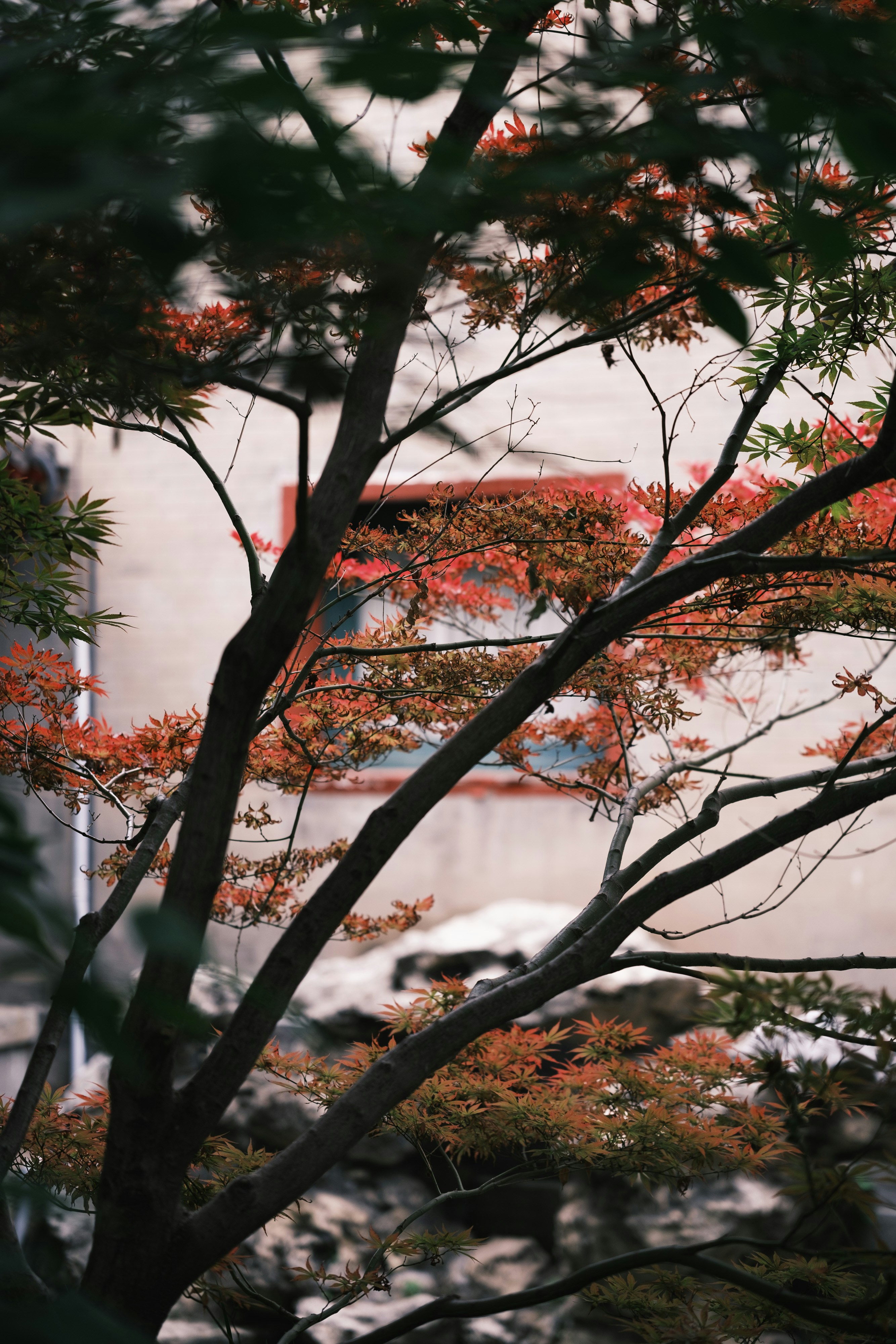 Photo by samuelwu