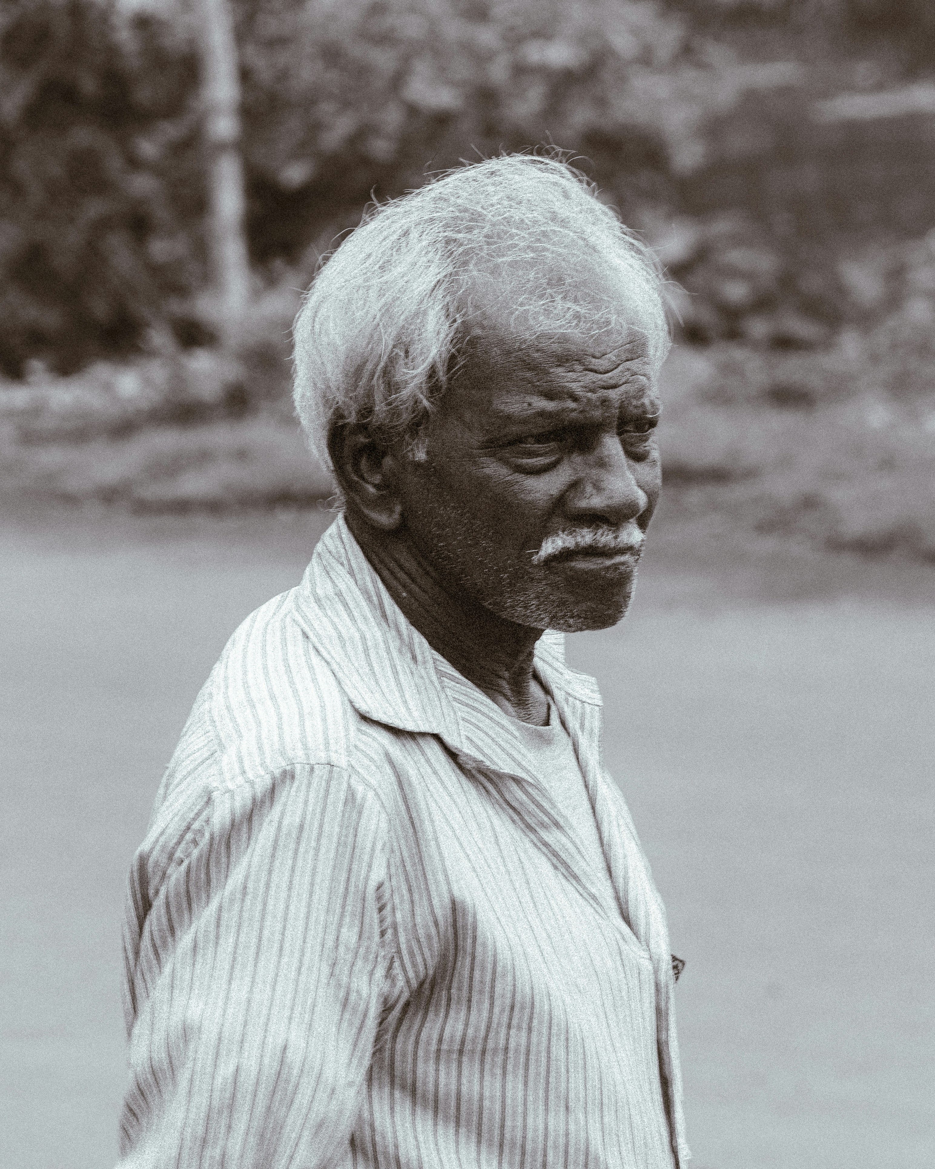 An elderly man poses for a portrait.