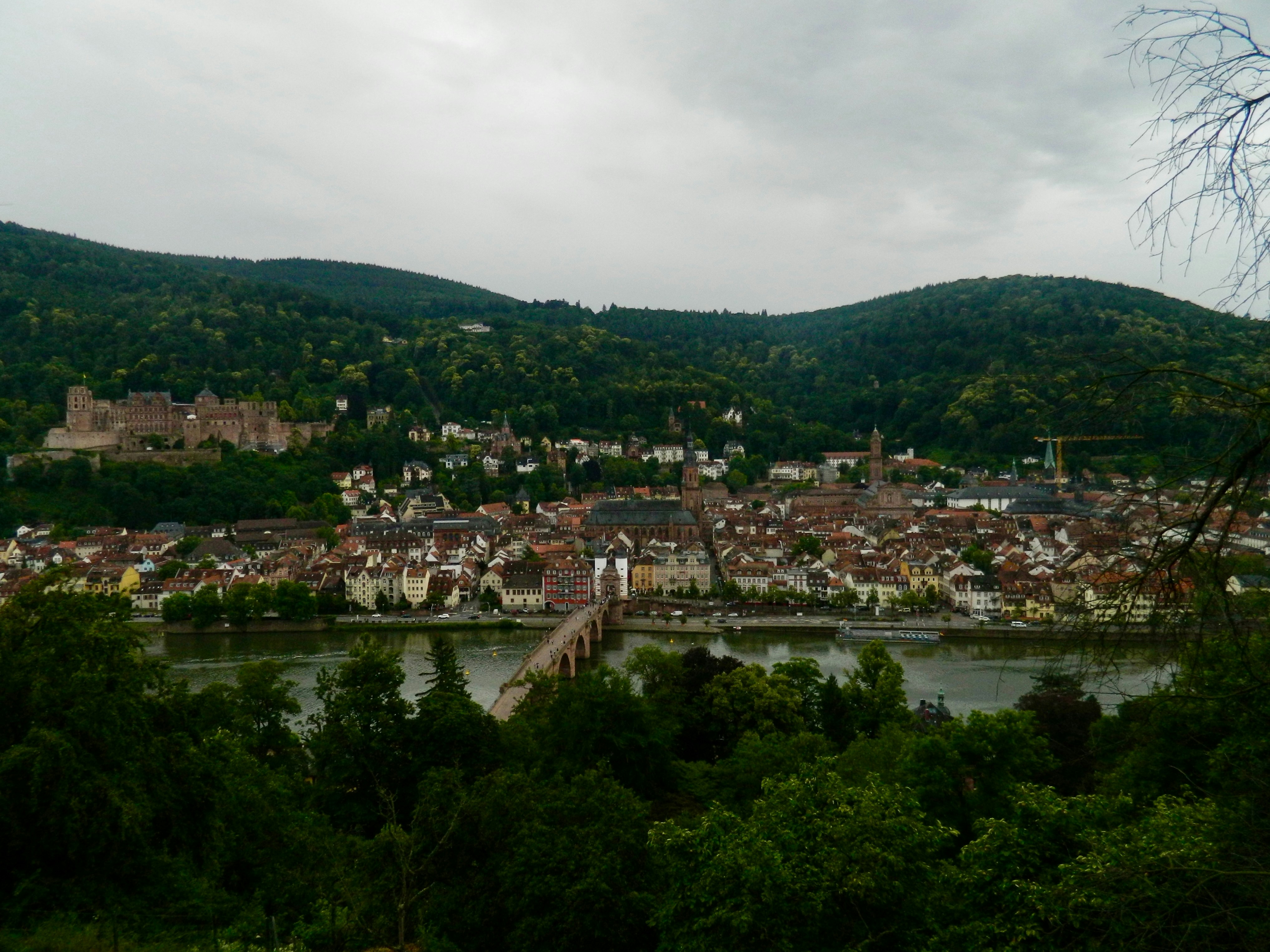 Heidelberg, germany, seen from an elevated perspective.