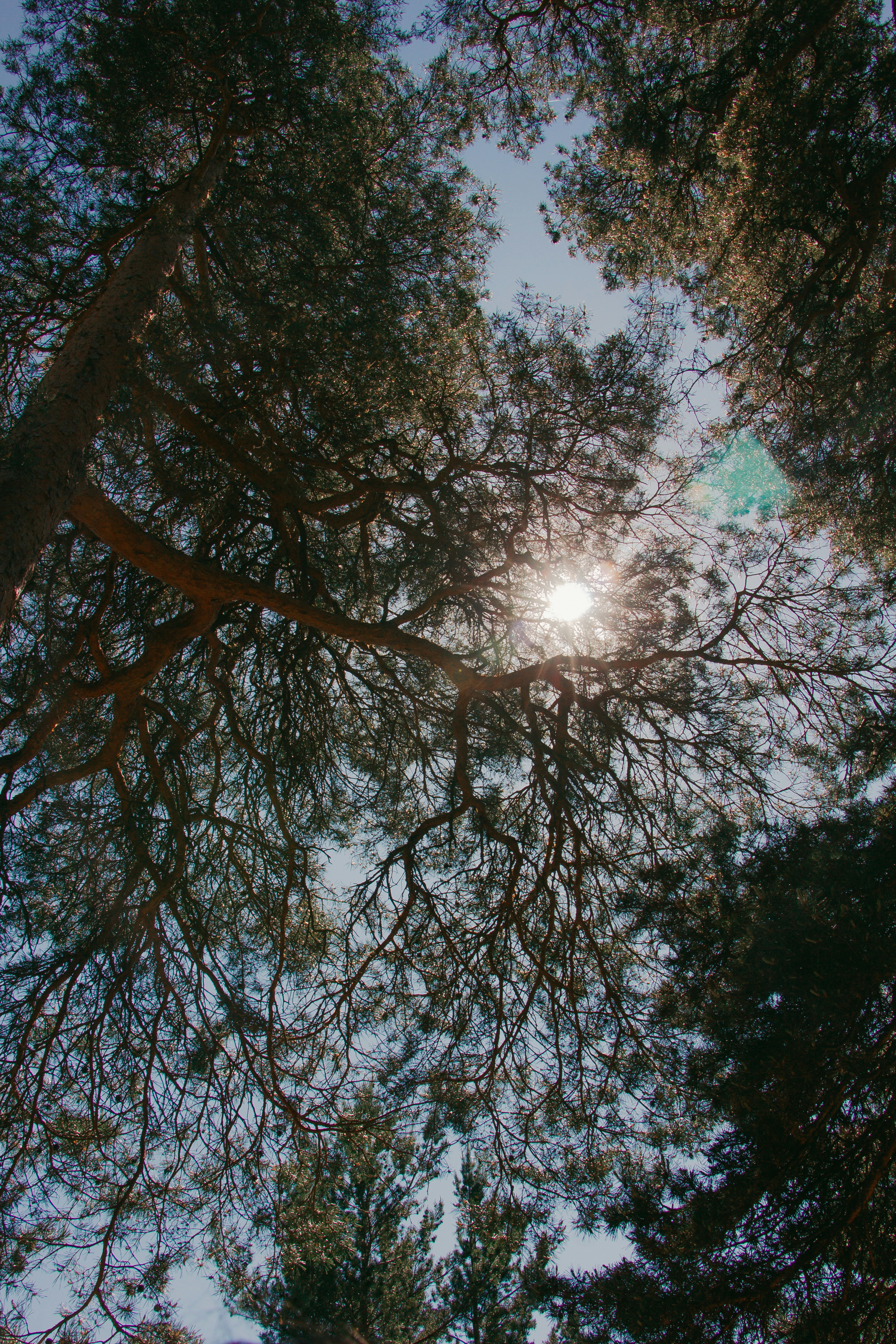 Photo by temapedchenko