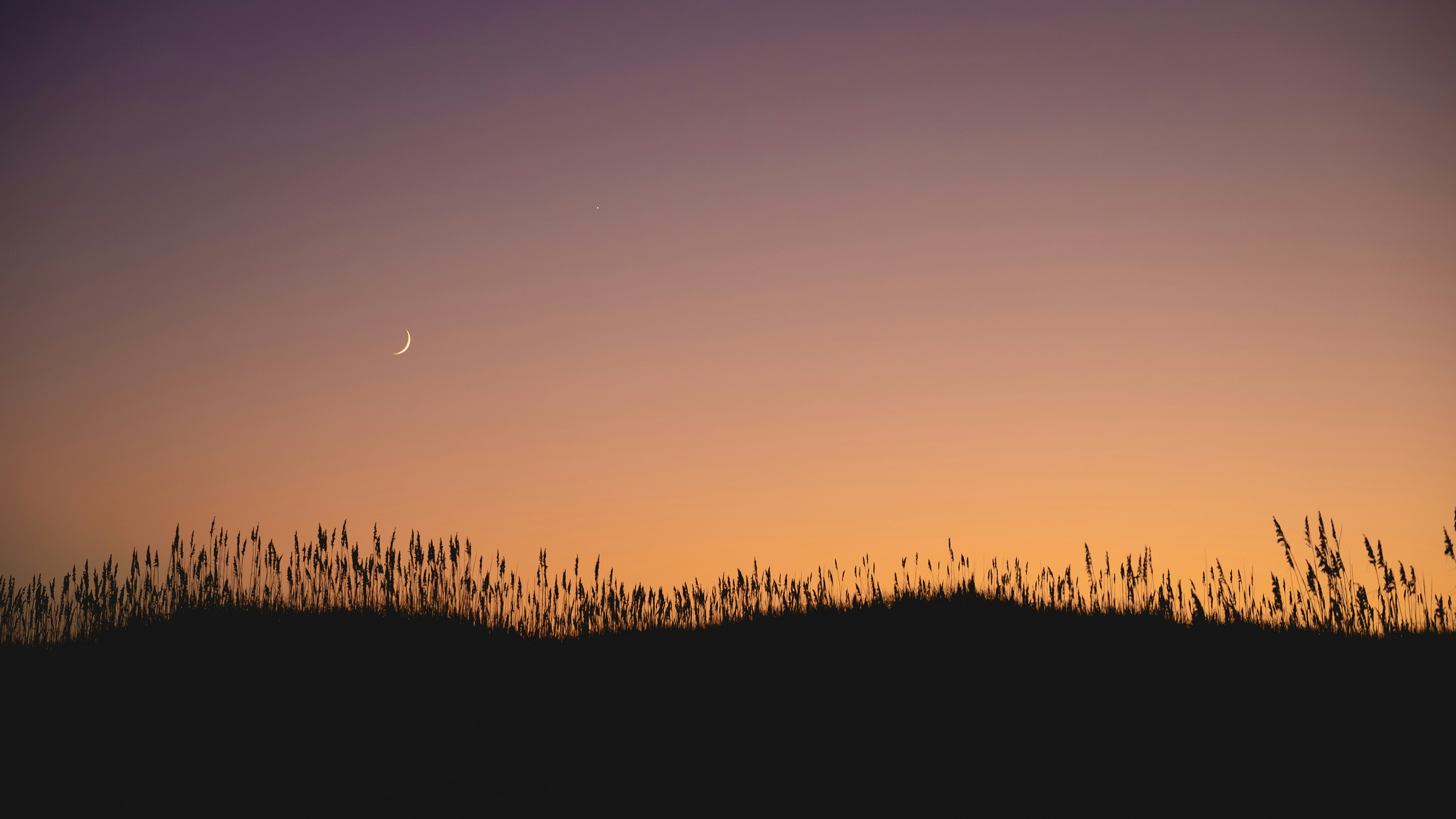 Things I did on Winter Vacation