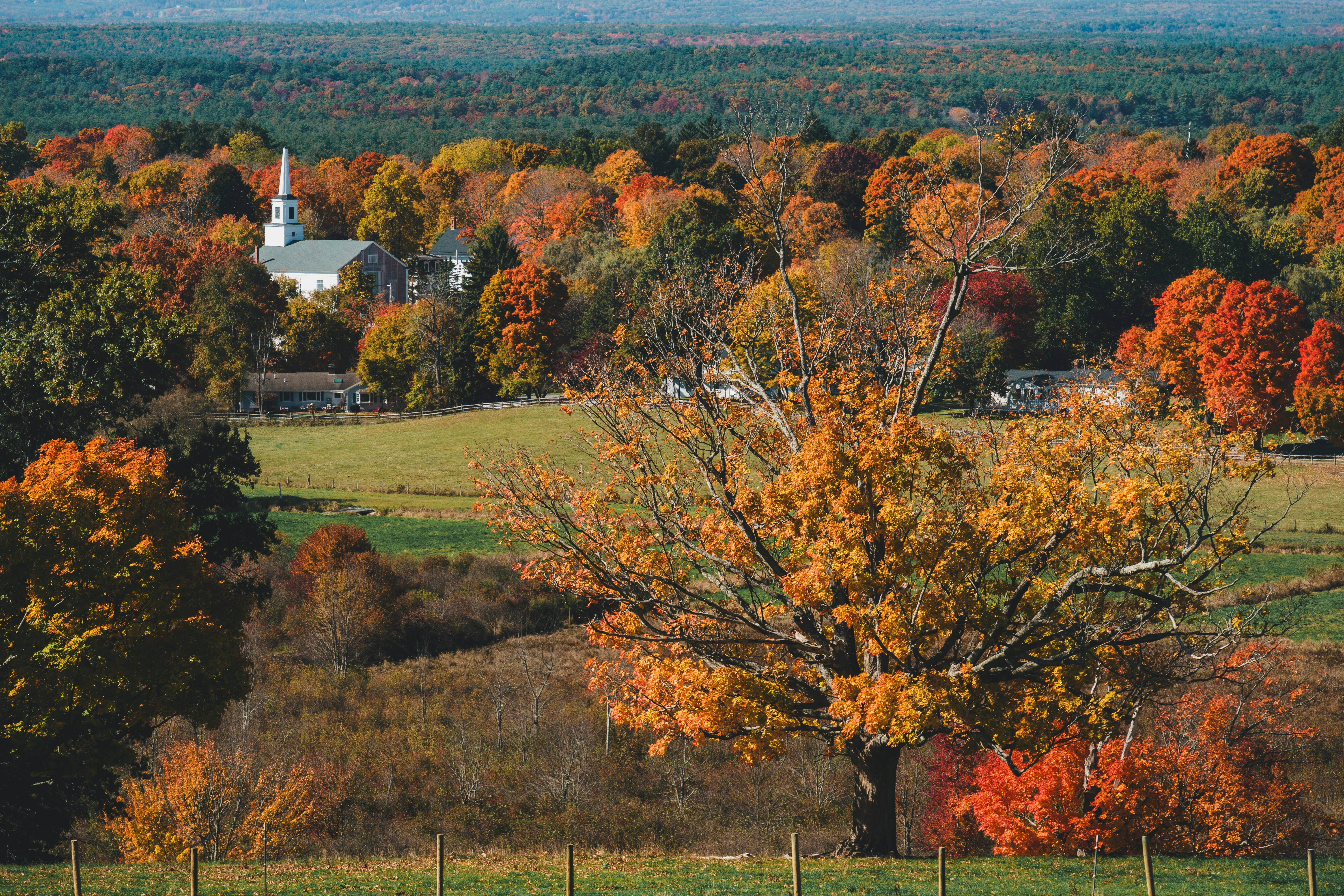 Photo by yileijerrybao