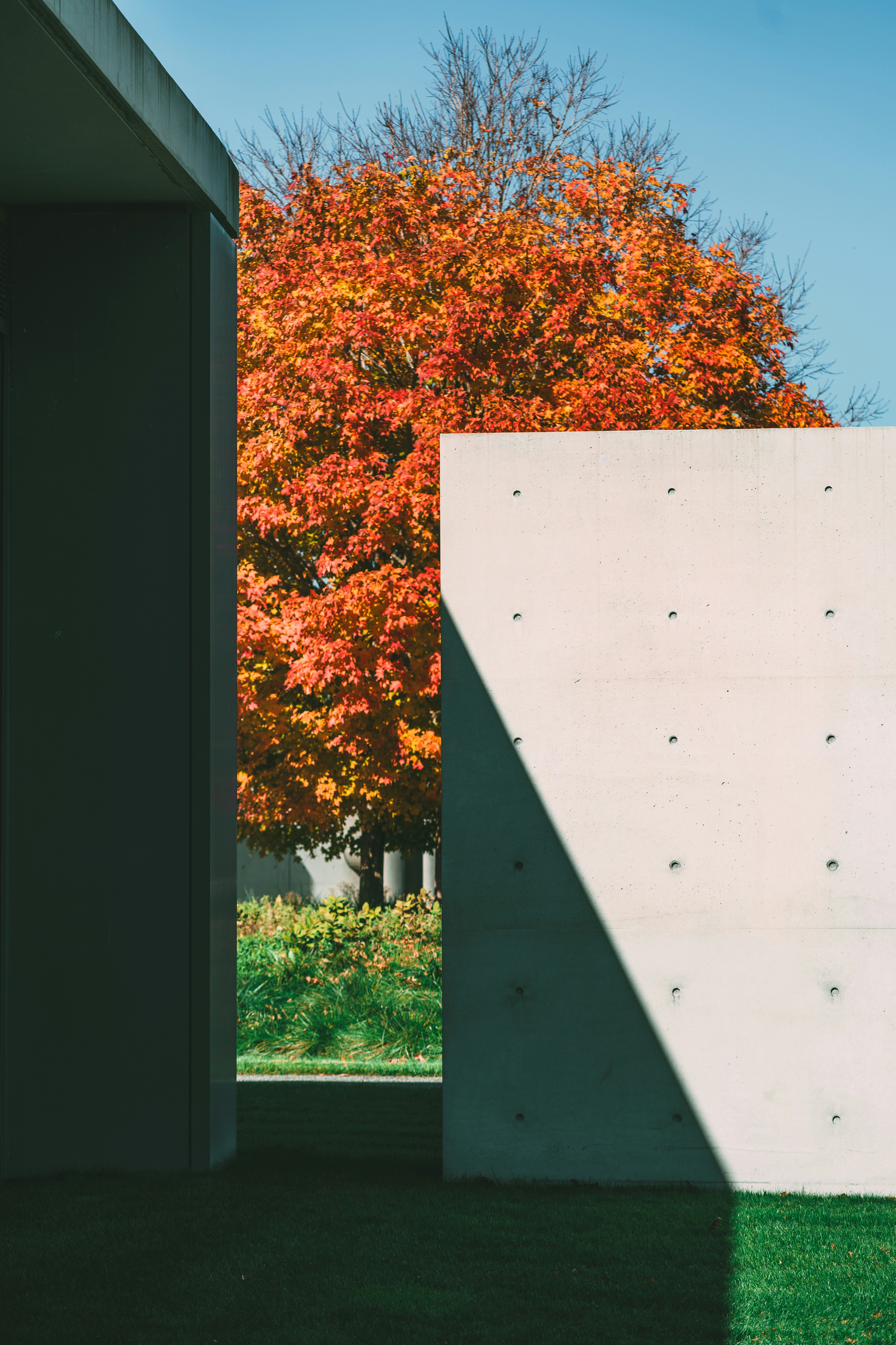 Photo by yileijerrybao