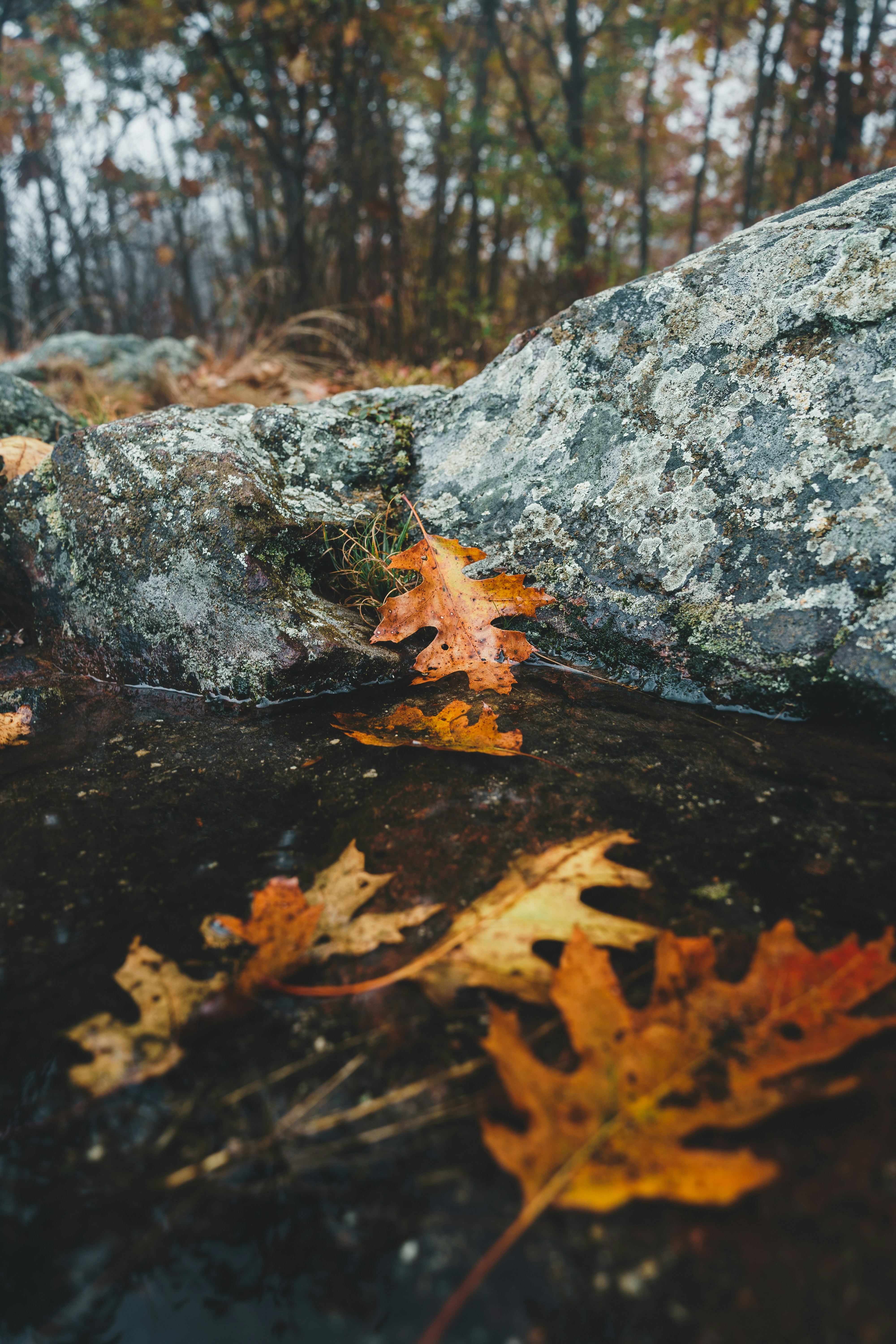 Photo by yileijerrybao
