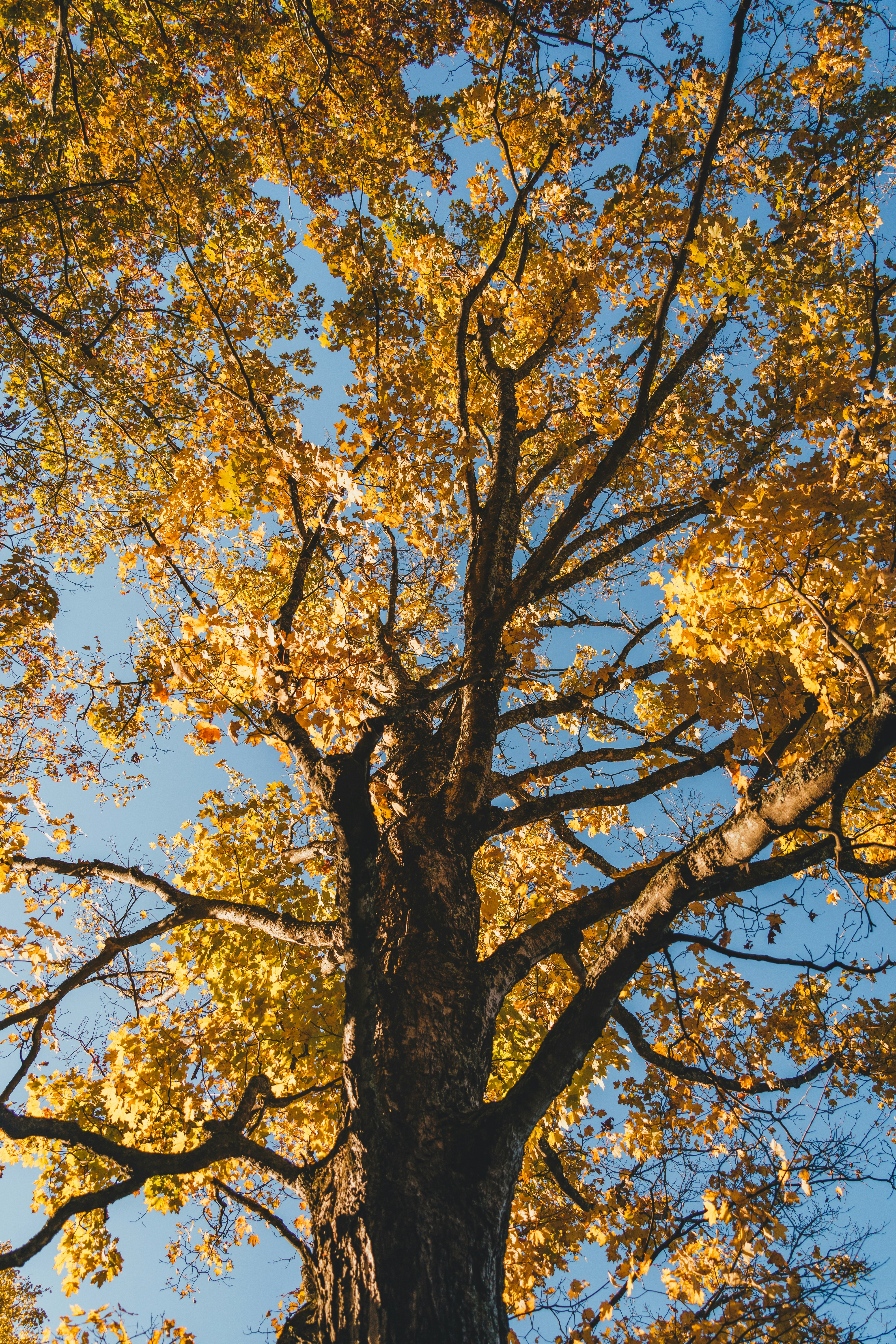 Photo by yileijerrybao