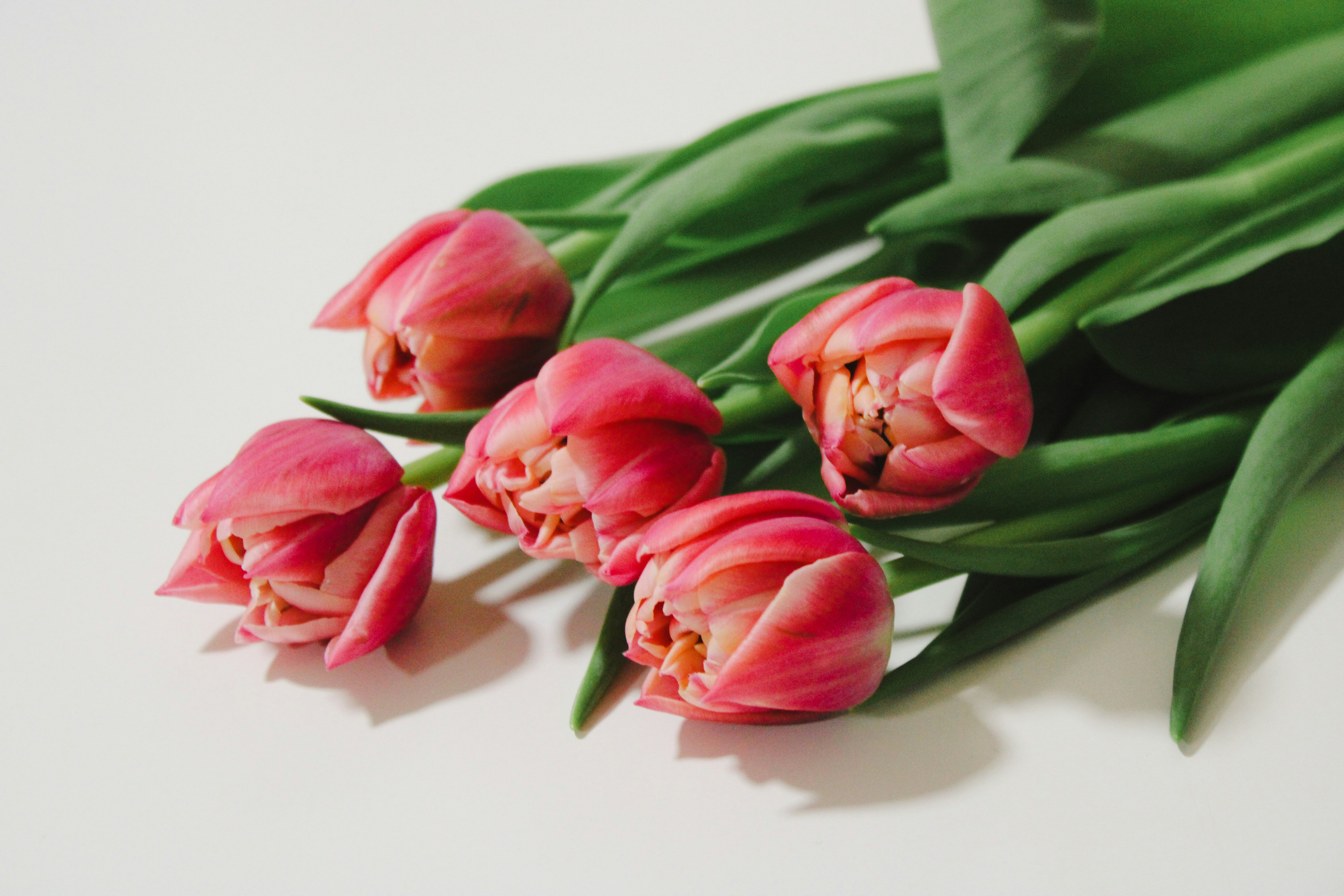 Photo by slenderamigo