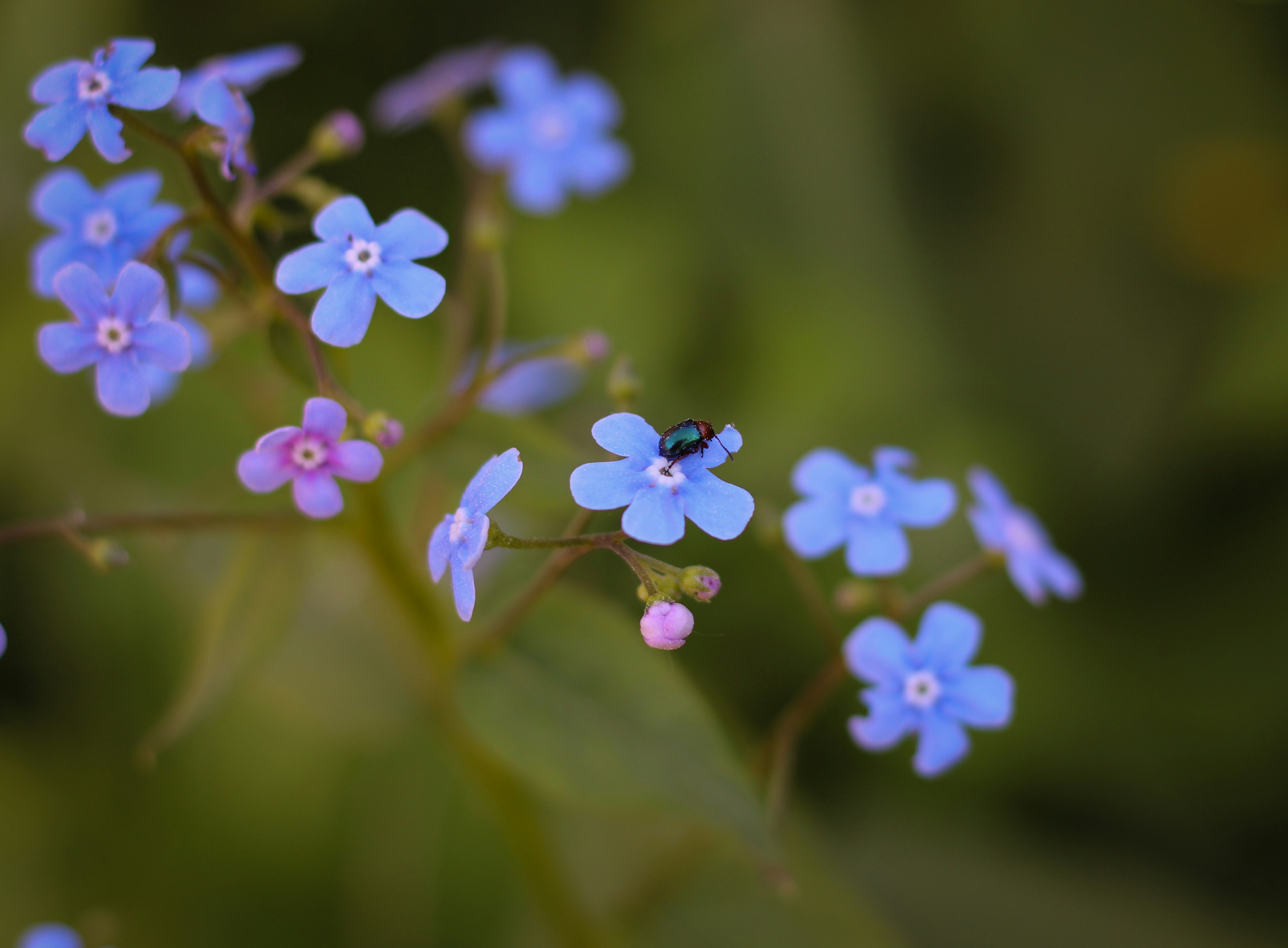 Photo by slenderamigo