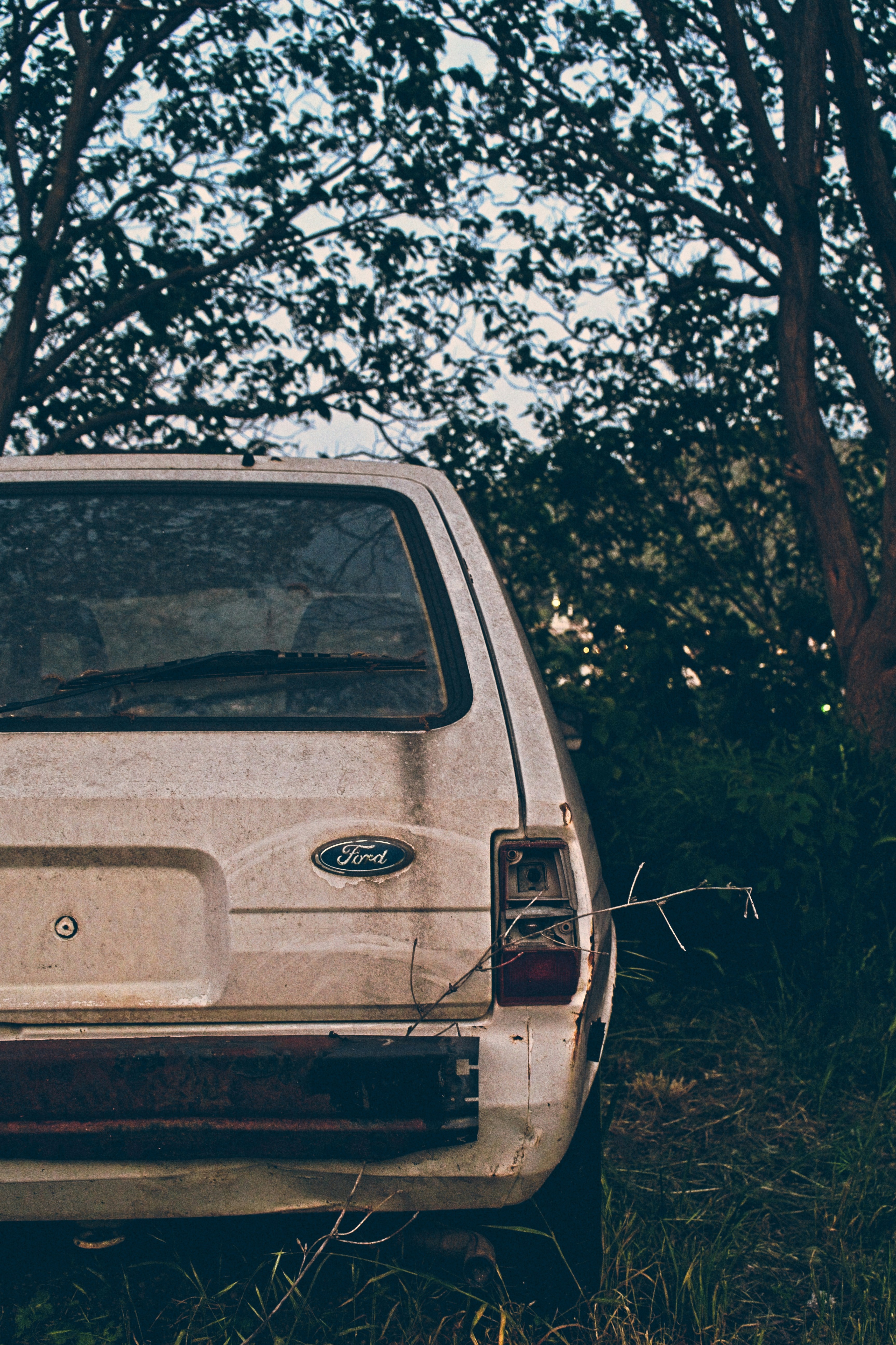 Photo by nedimshoots