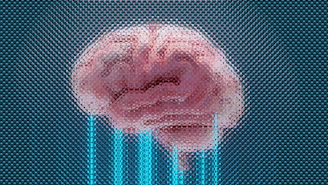 A brain displayed with glowing blue lines