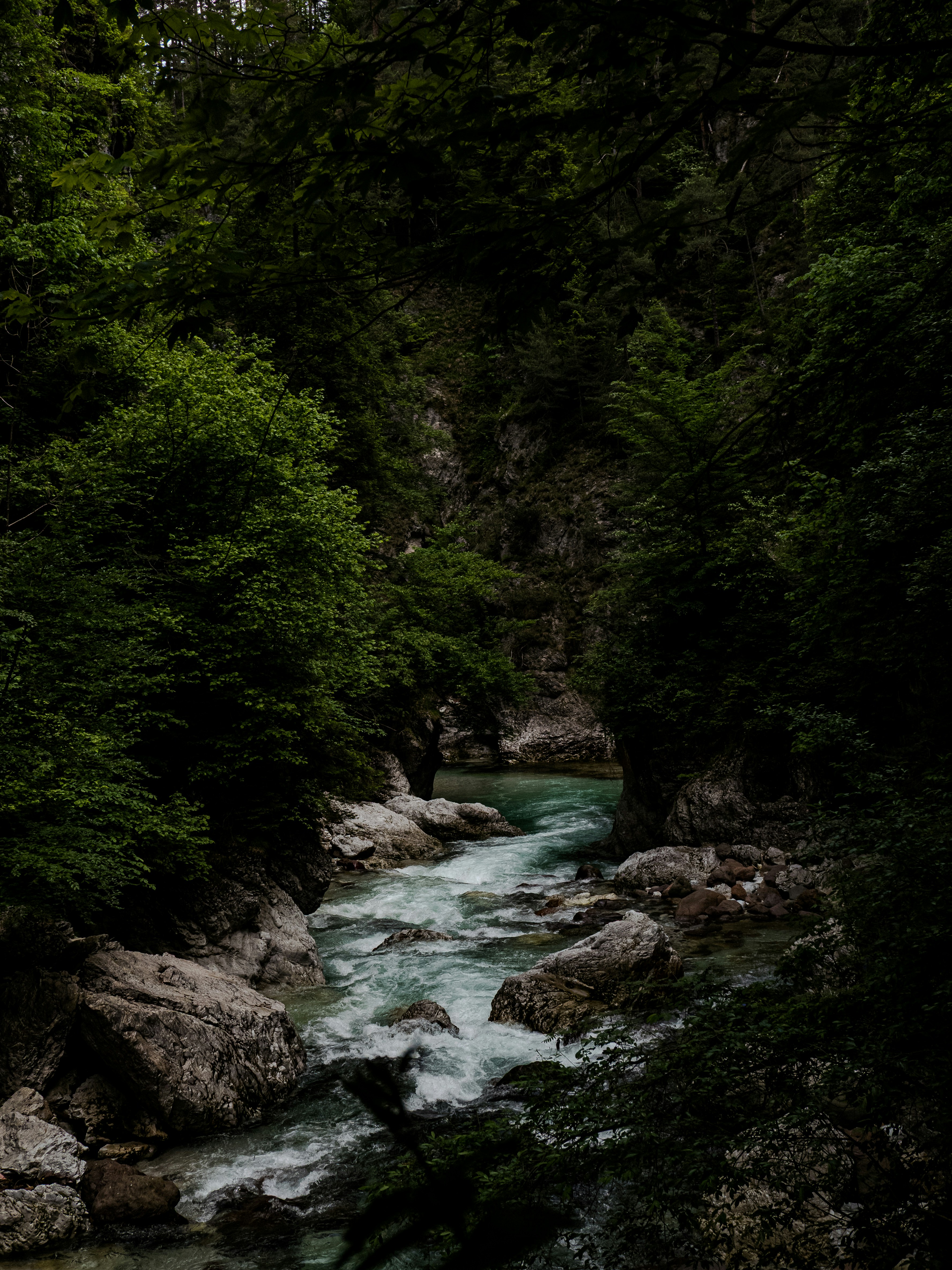 Photo by danielesimon