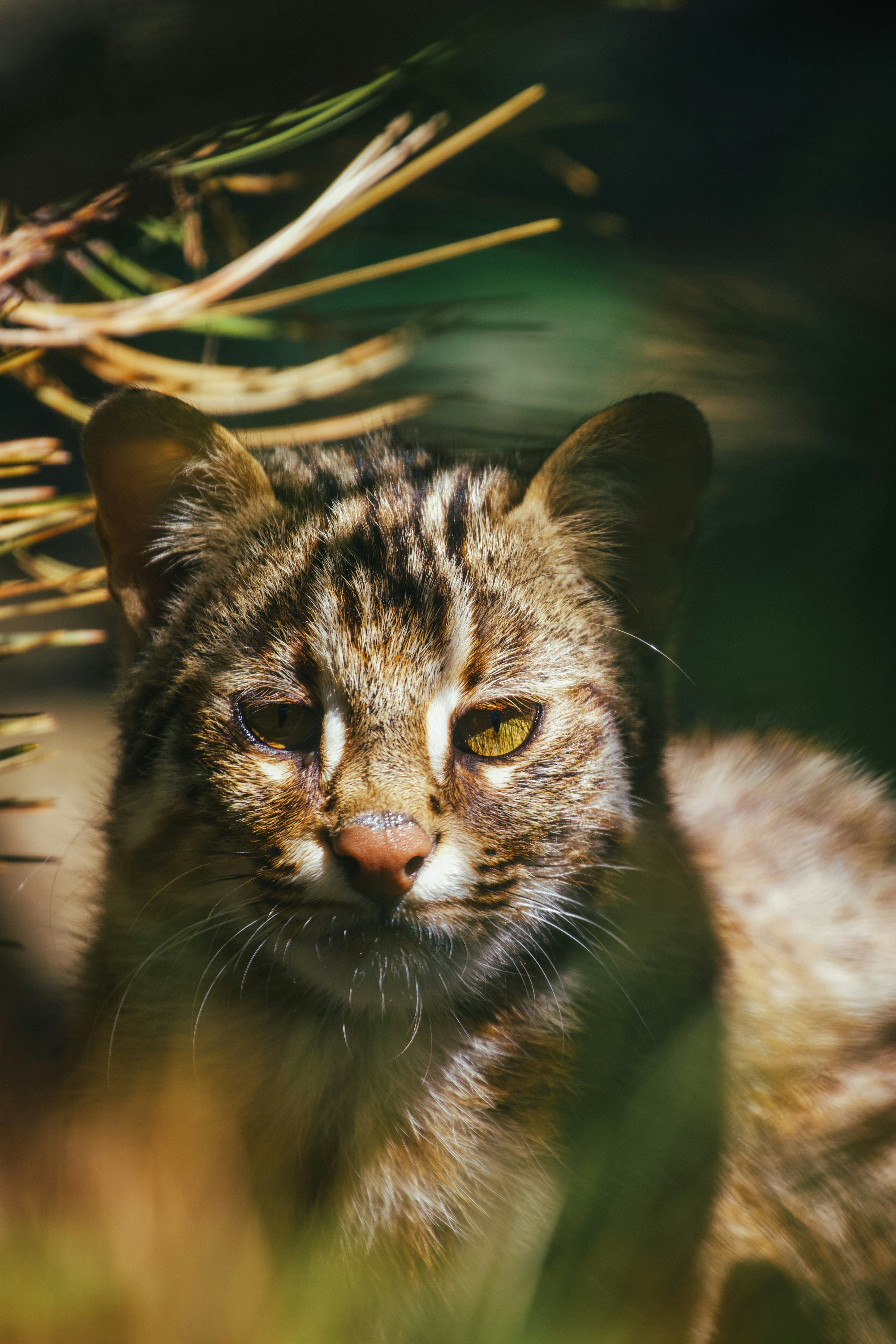 Photo by jakub_neskora