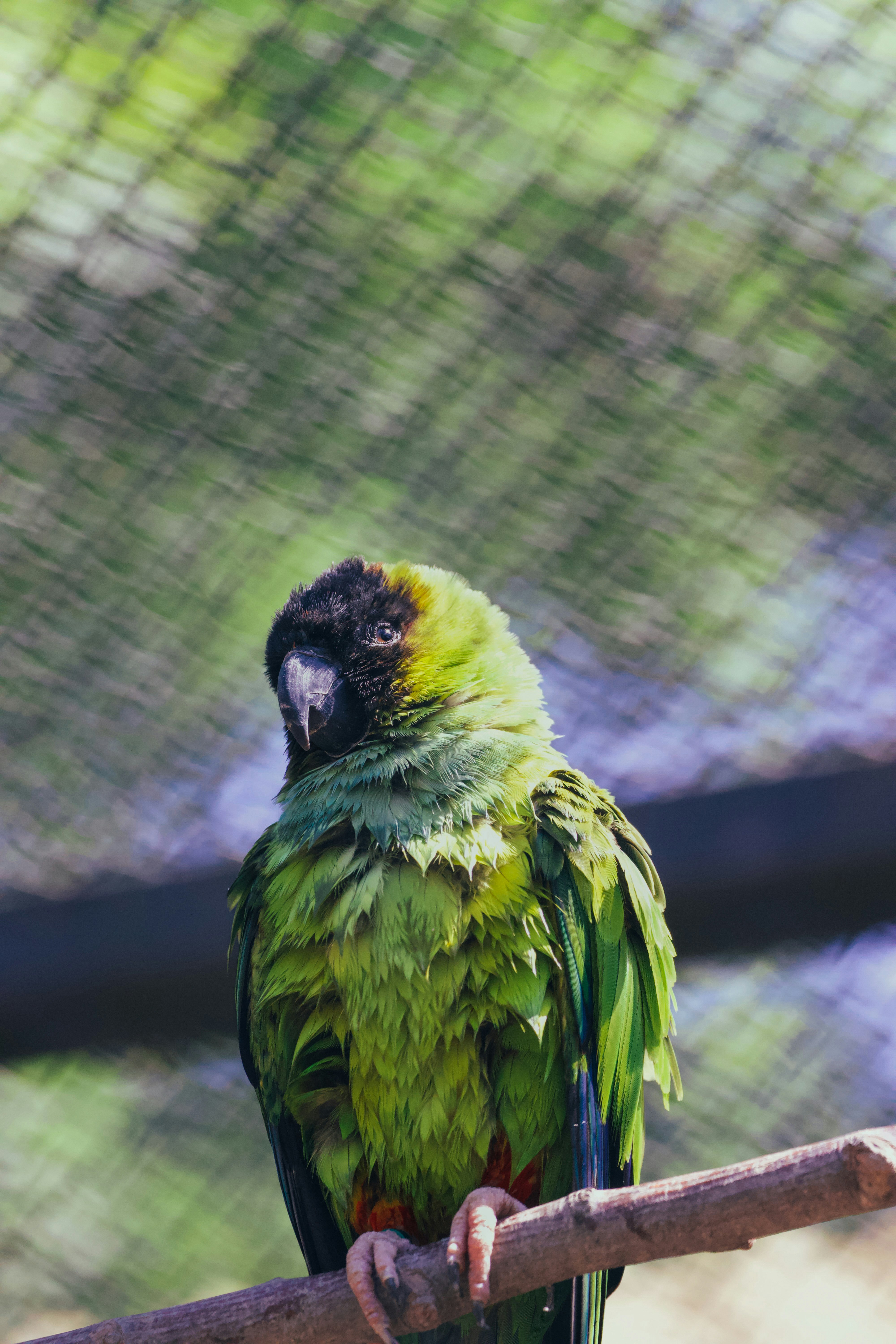 Photo by jakub_neskora