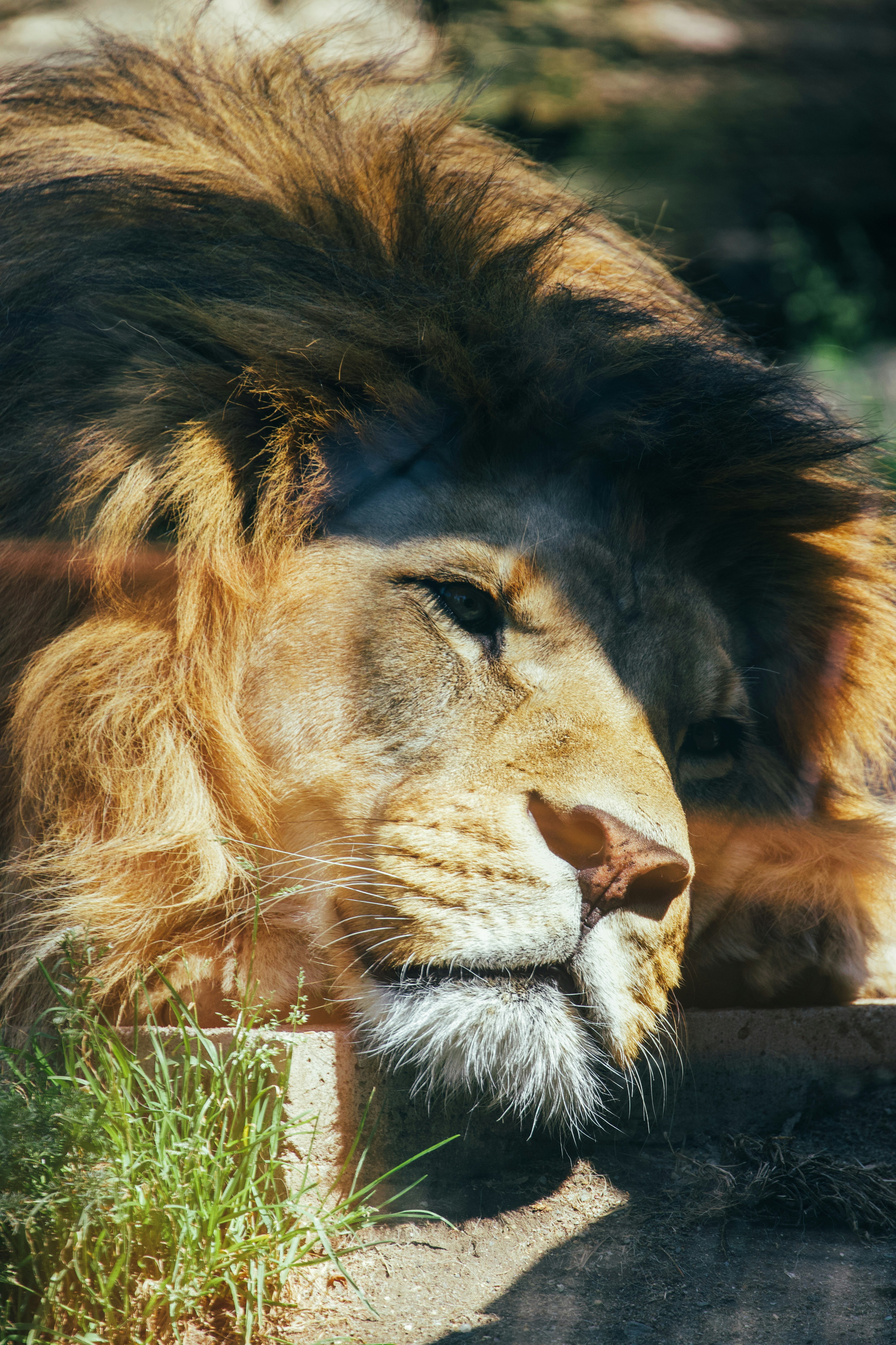 Photo by jakub_neskora