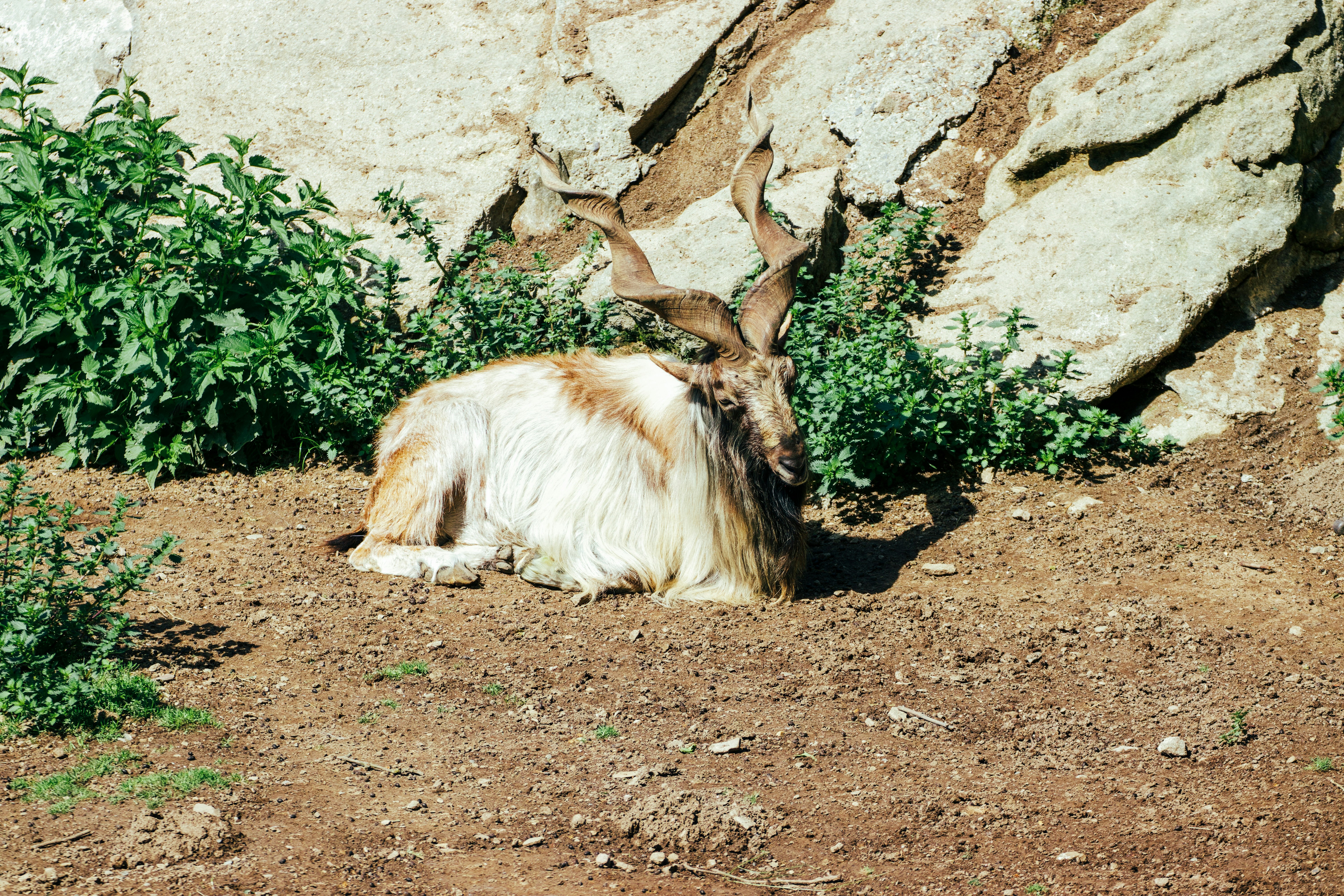 Photo by jakub_neskora