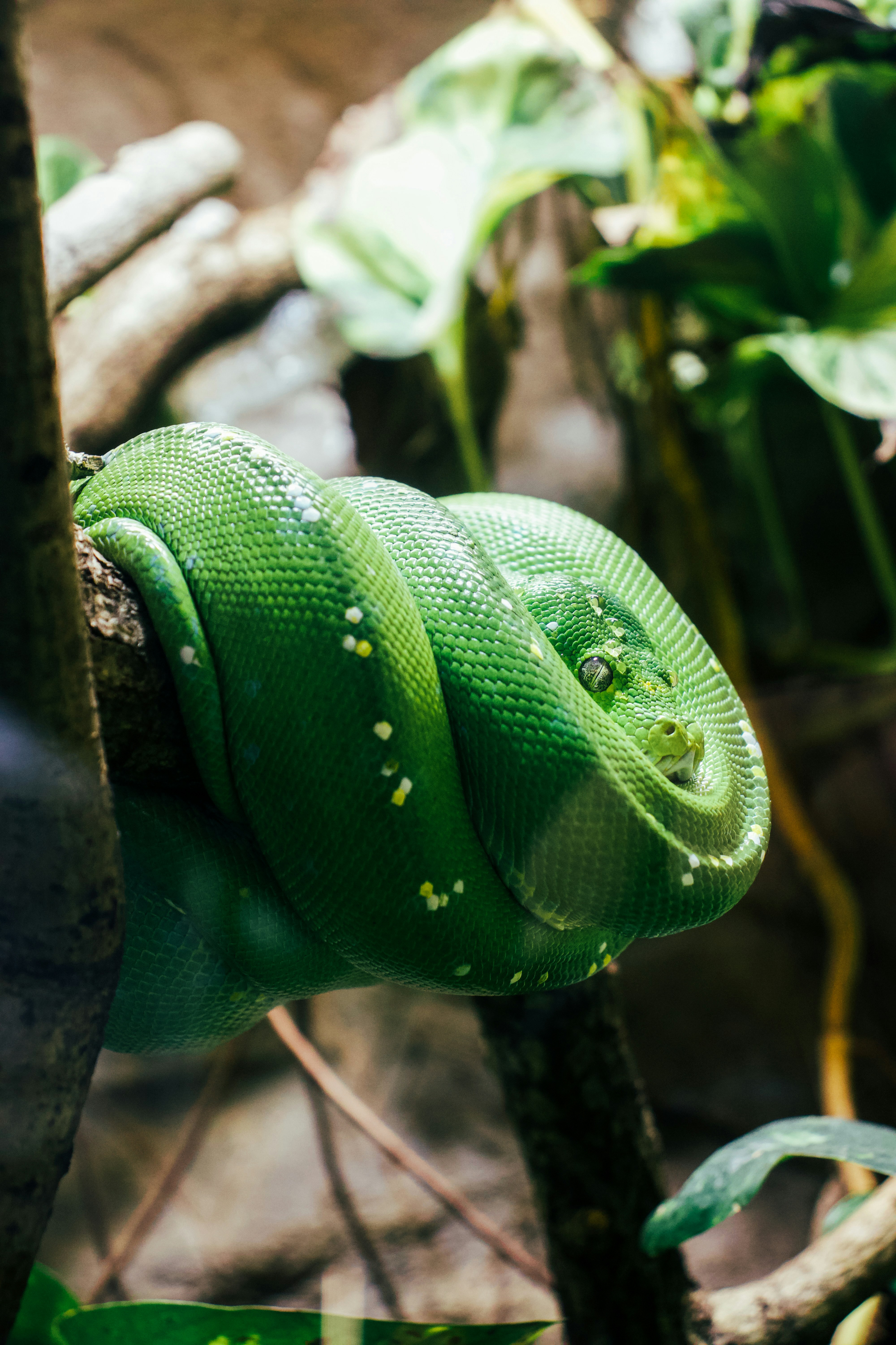 Photo by jakub_neskora