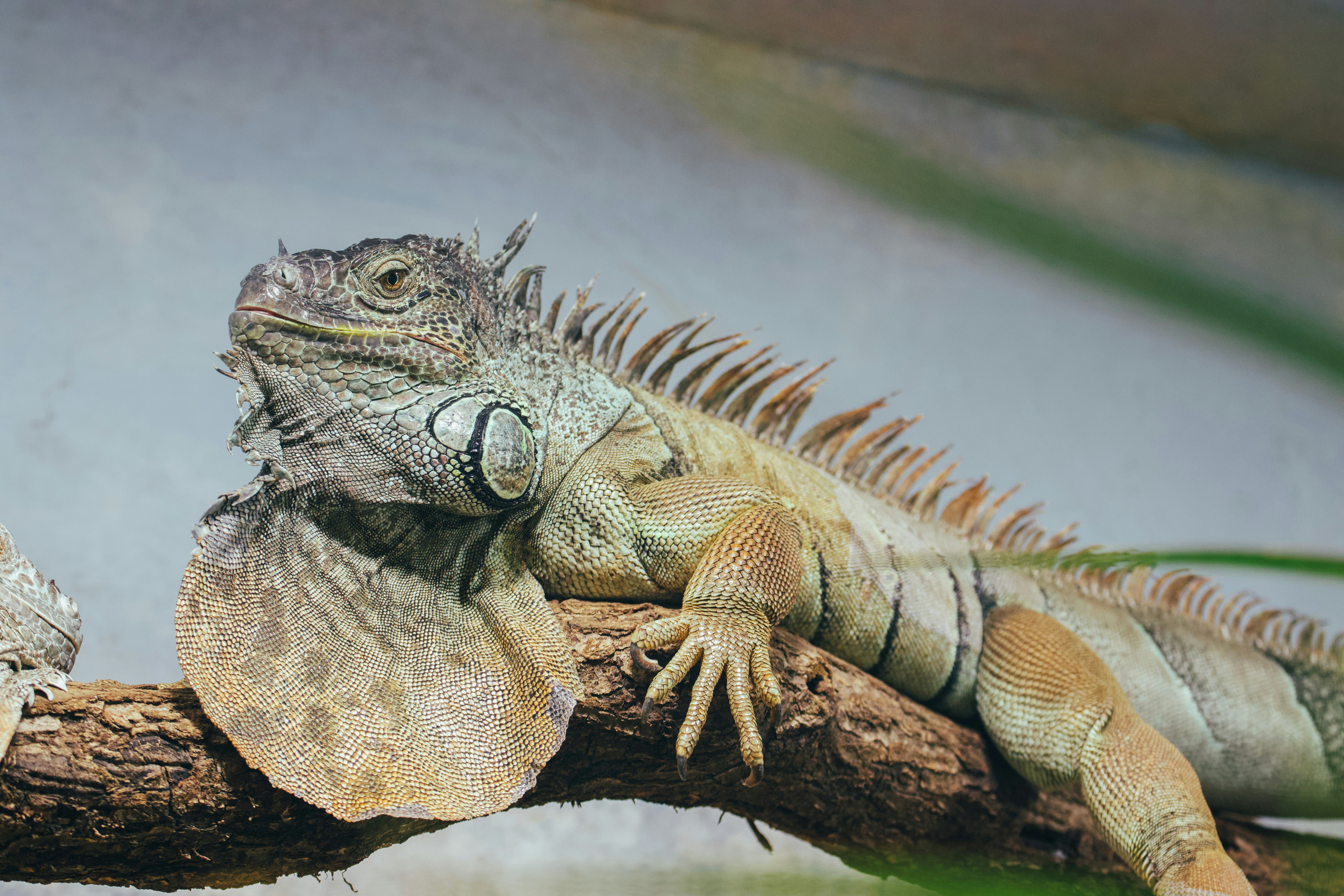 Photo by jakub_neskora