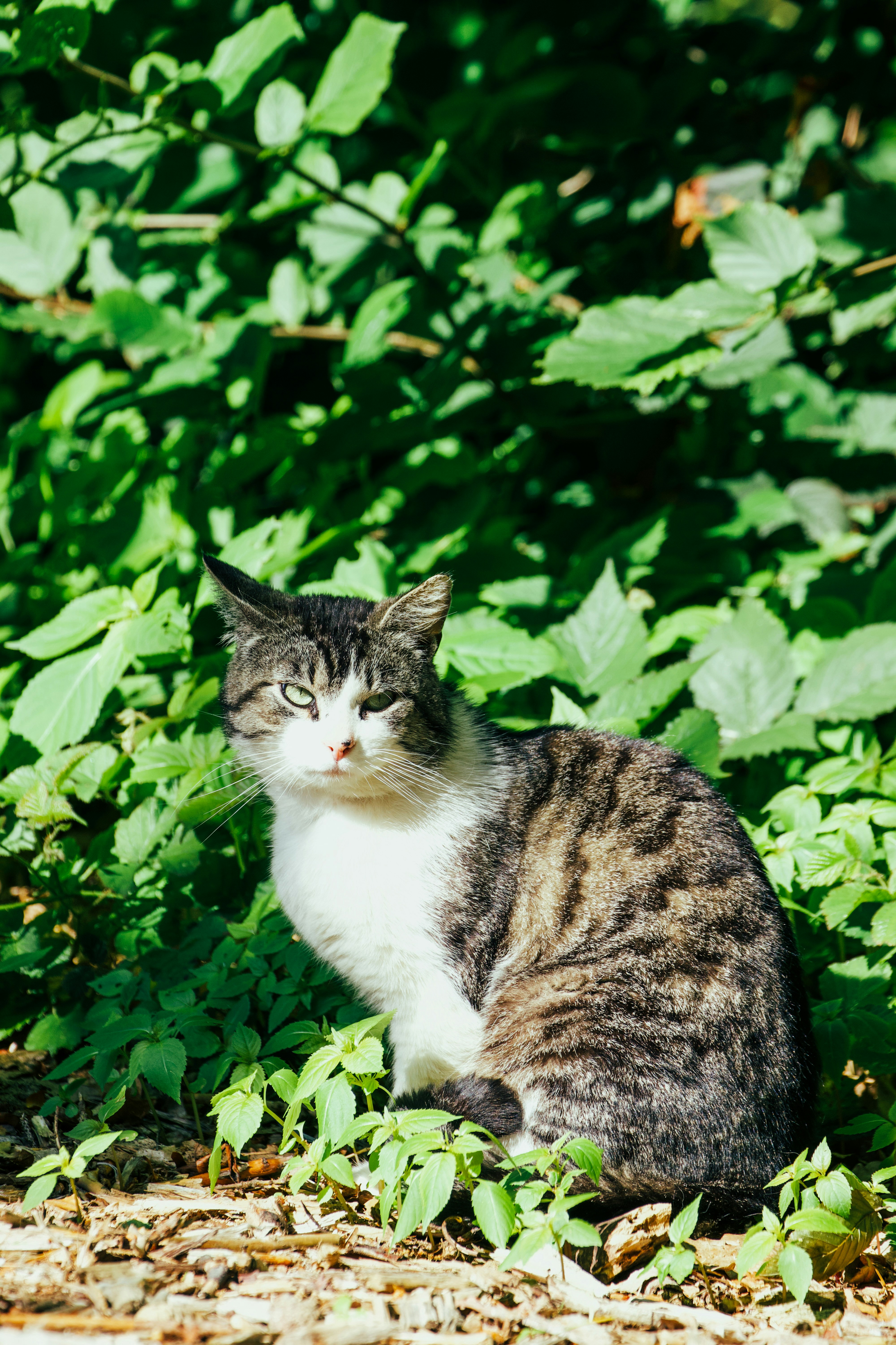 Photo by jakub_neskora