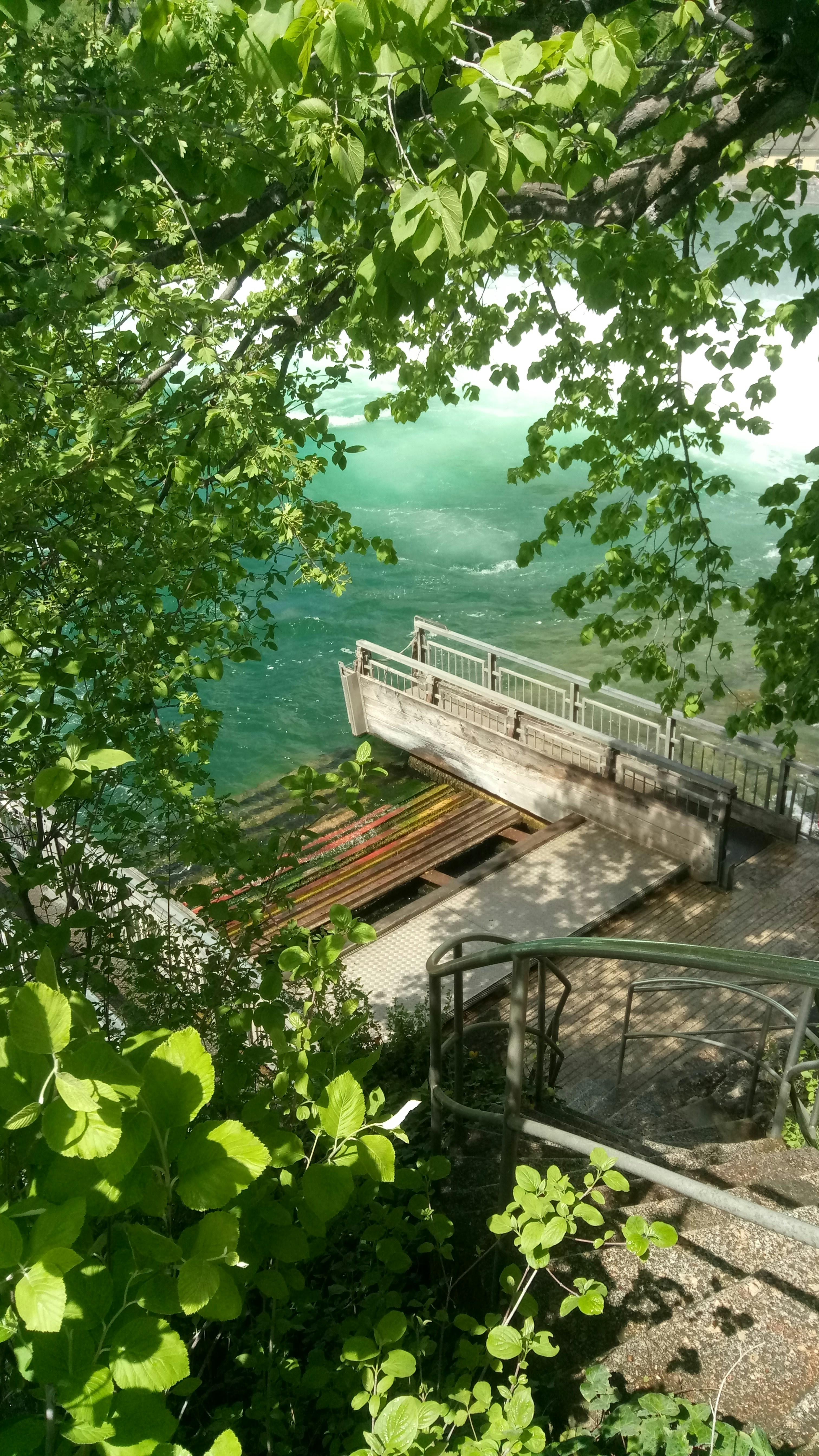A riverbank with stairs and green foliage