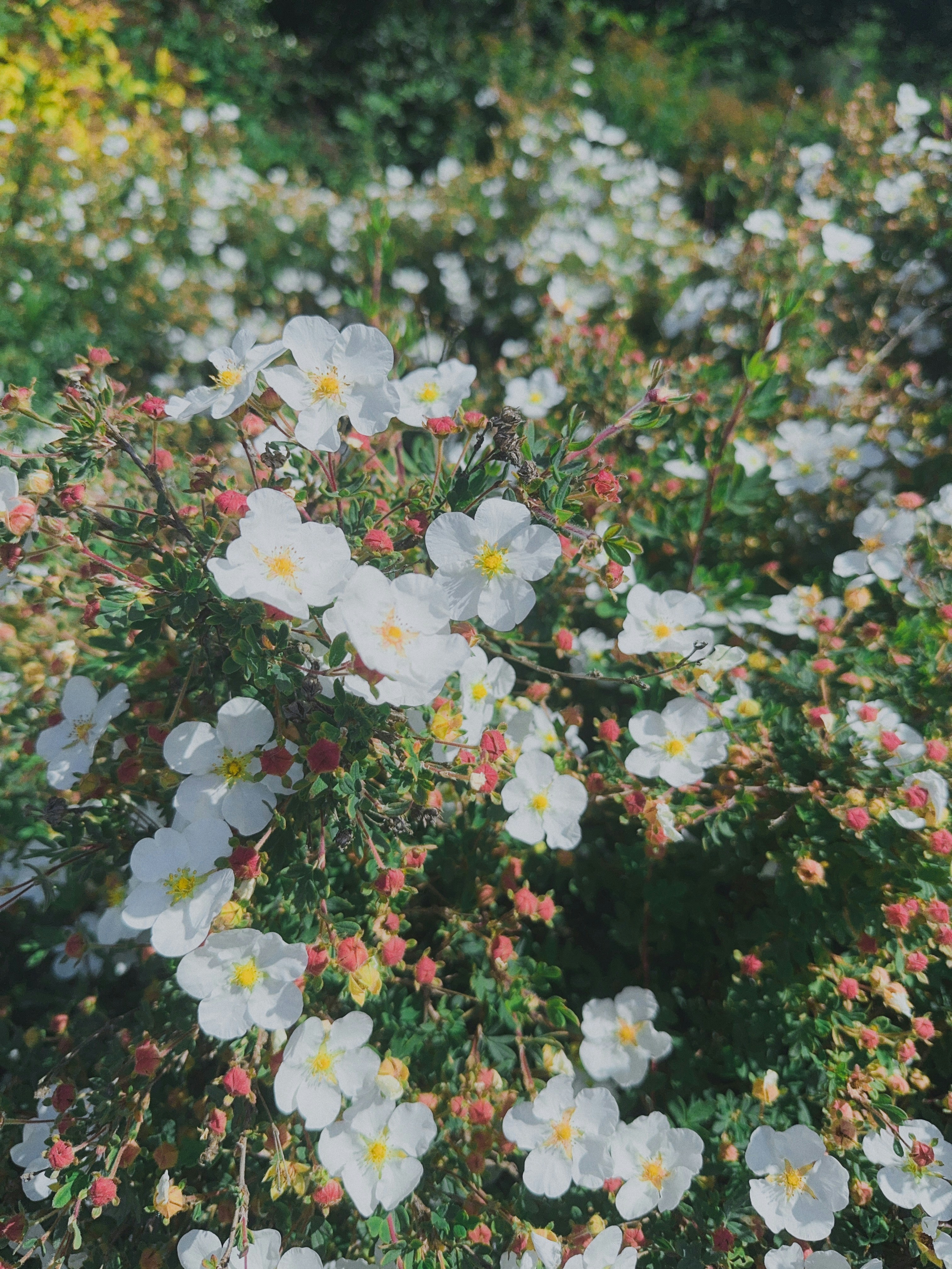 Photo by reginasong811