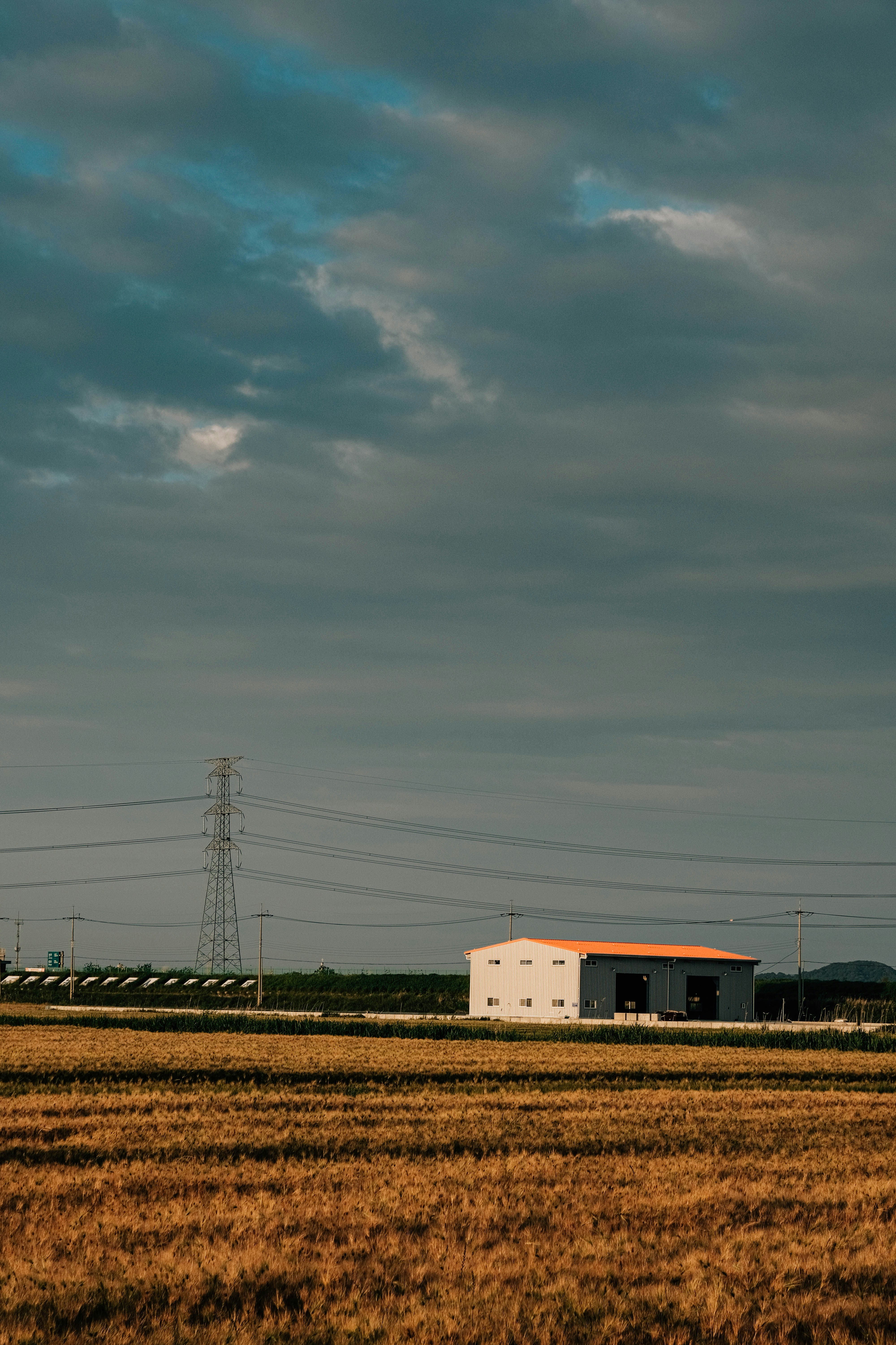 曇り空の下、野原と建物。