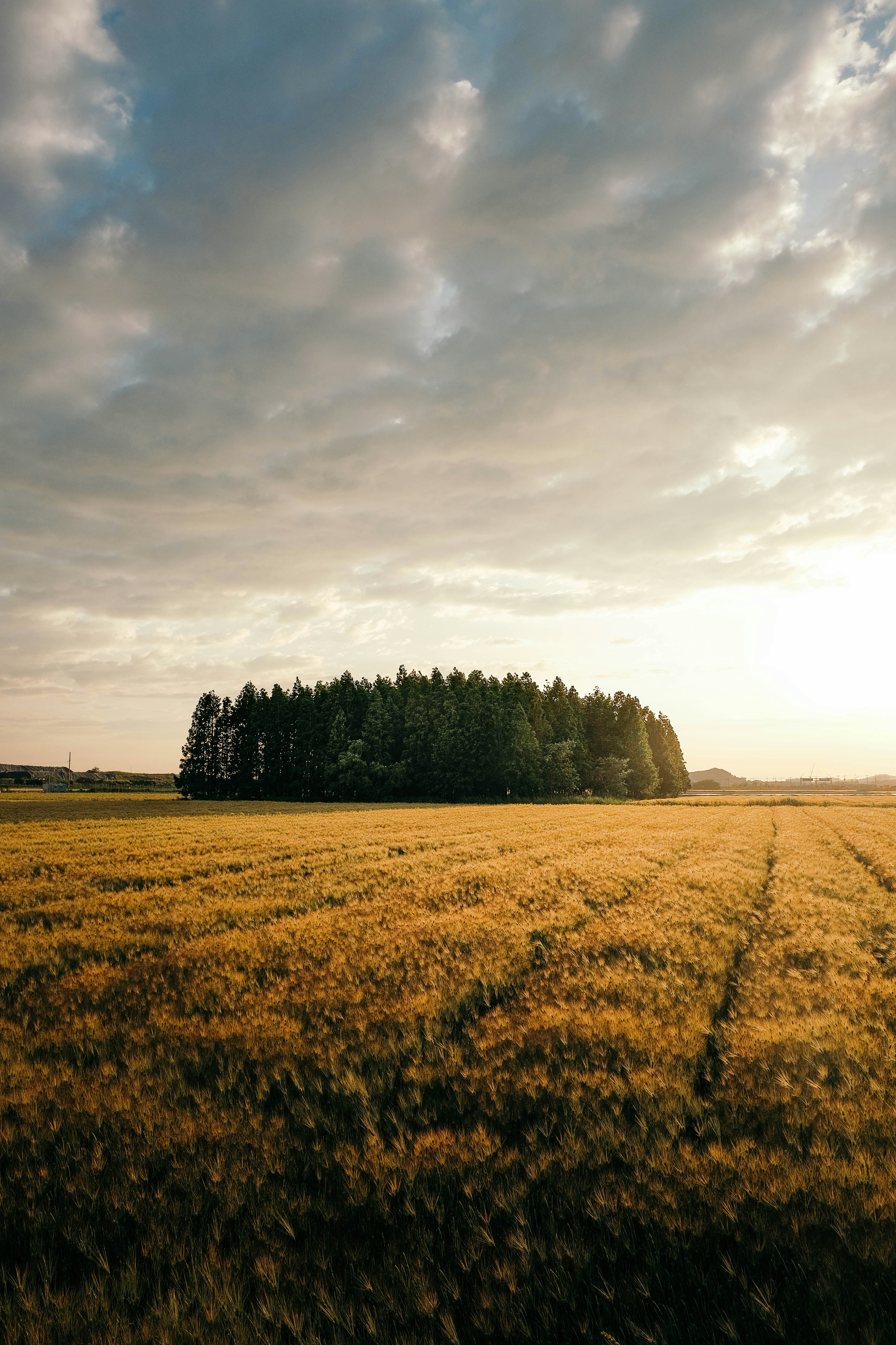 Photo by insungpandora