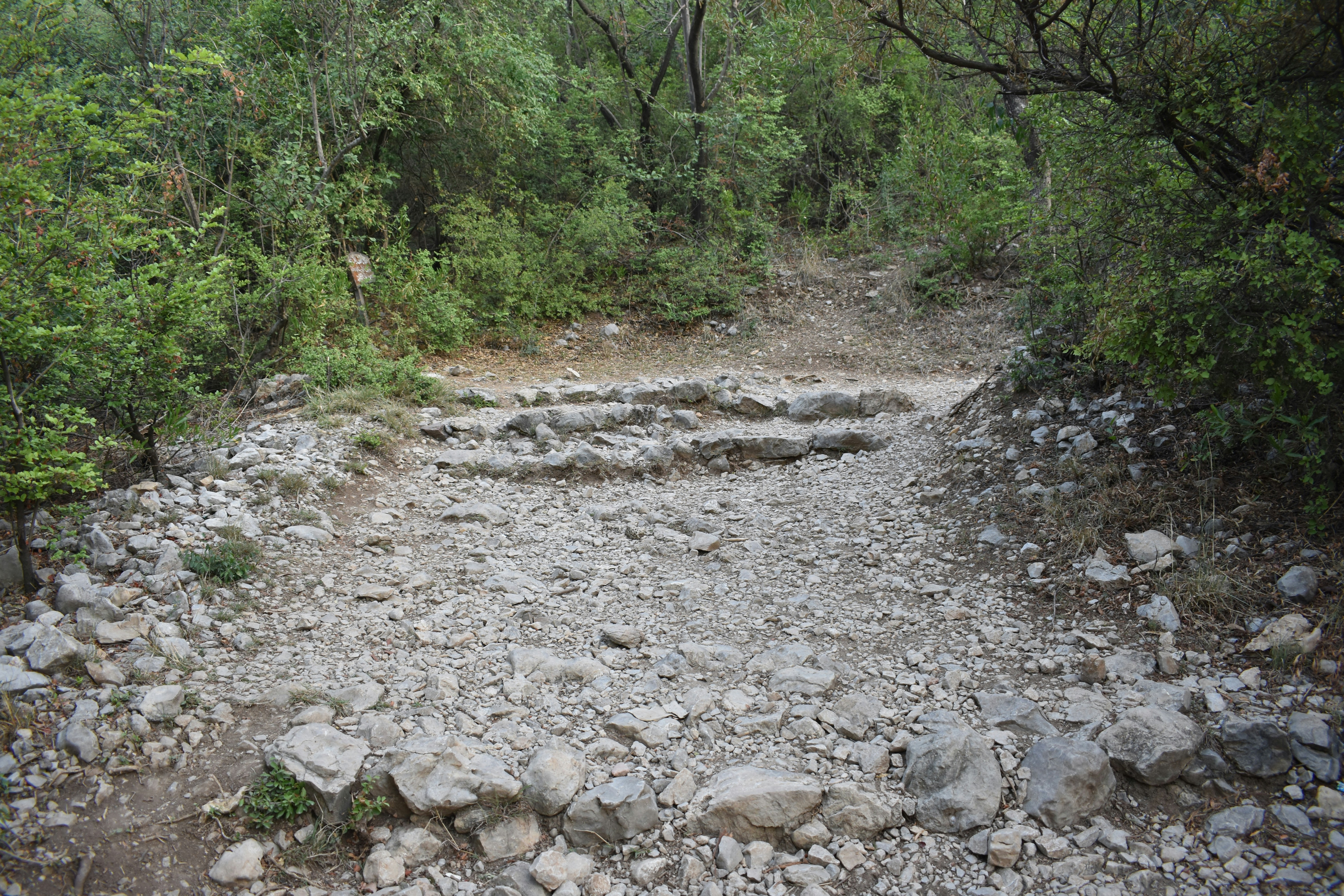 Rocky path with steps leading into the woods.