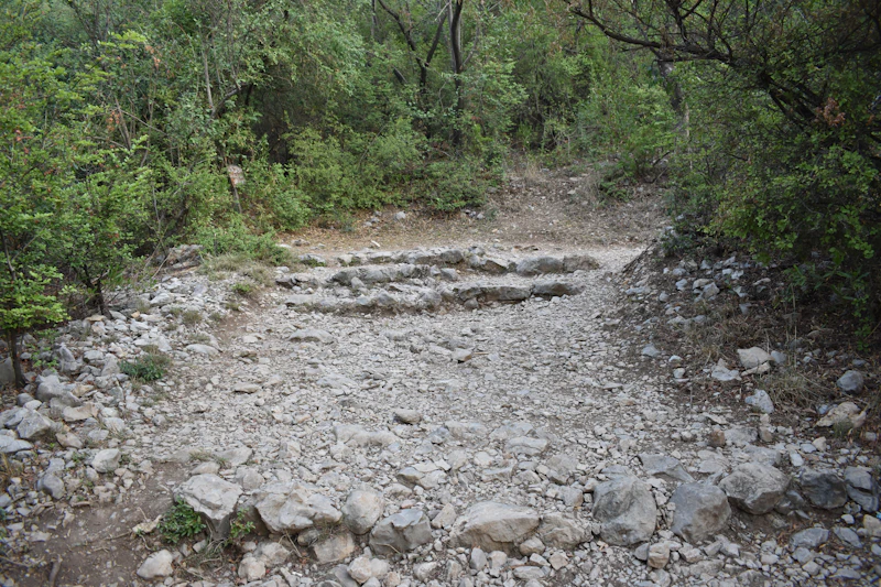 Sendero Los Quetzales