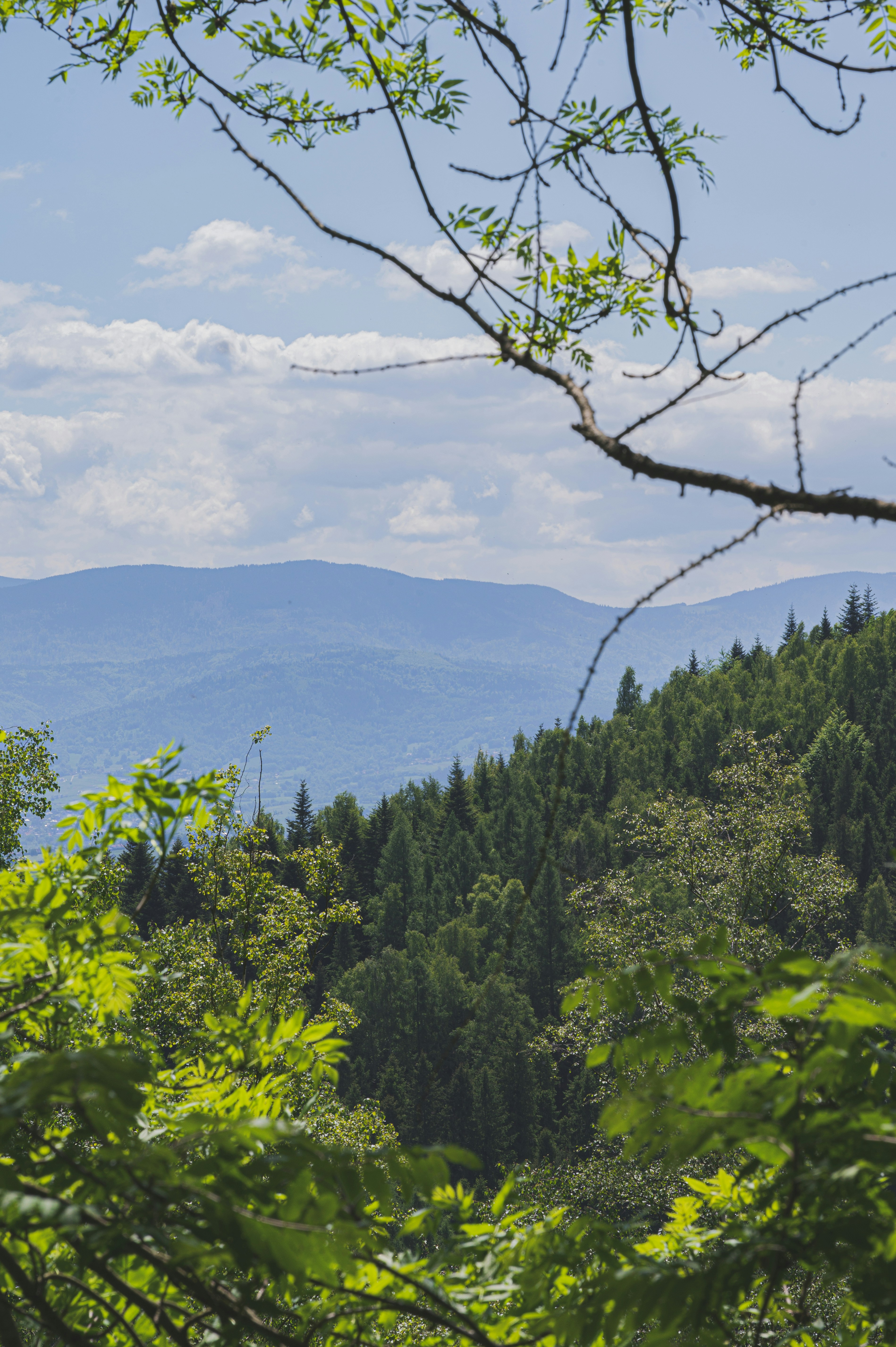 Photo by alexandra_p_d