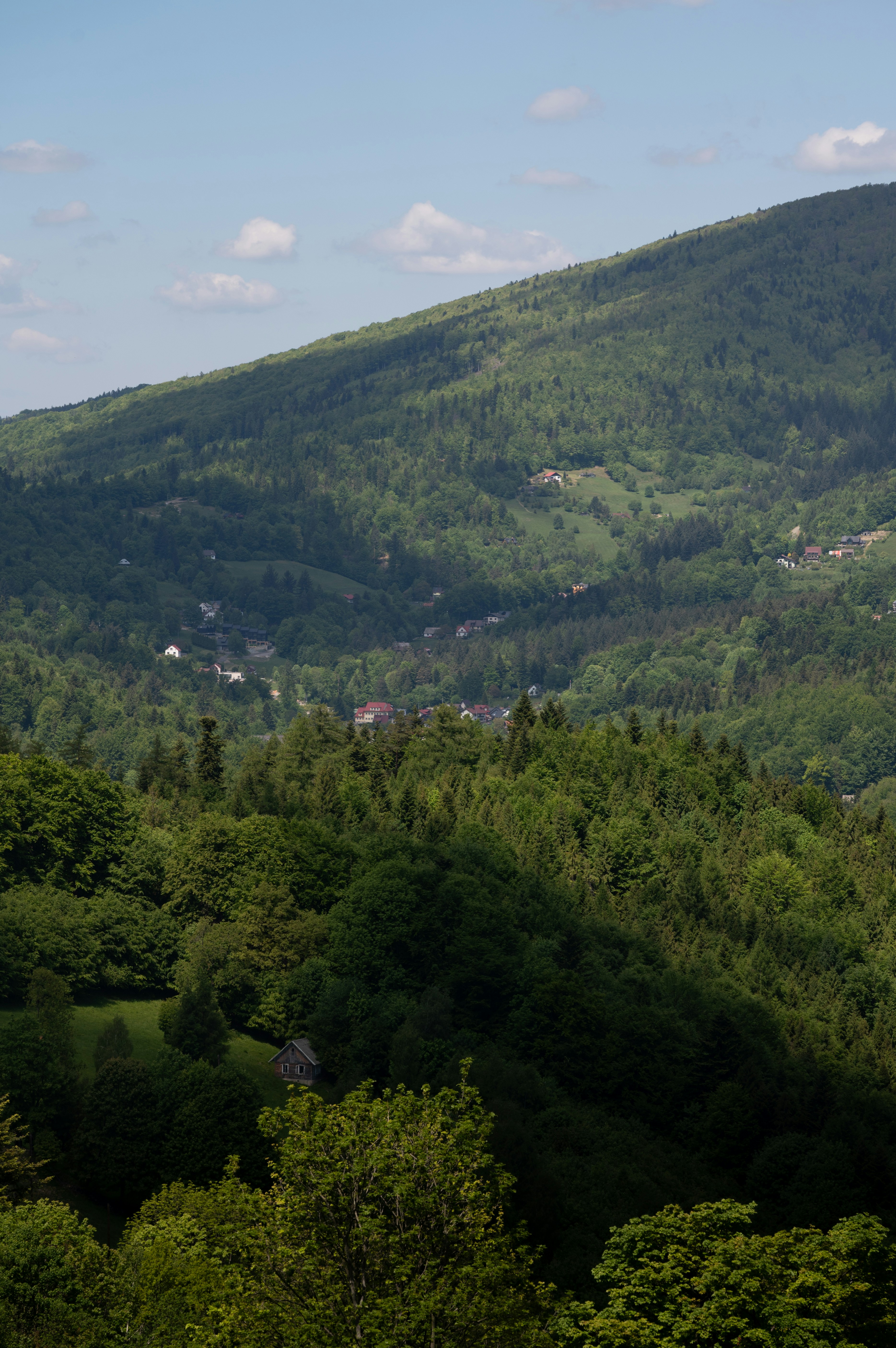 Photo by alexandra_p_d