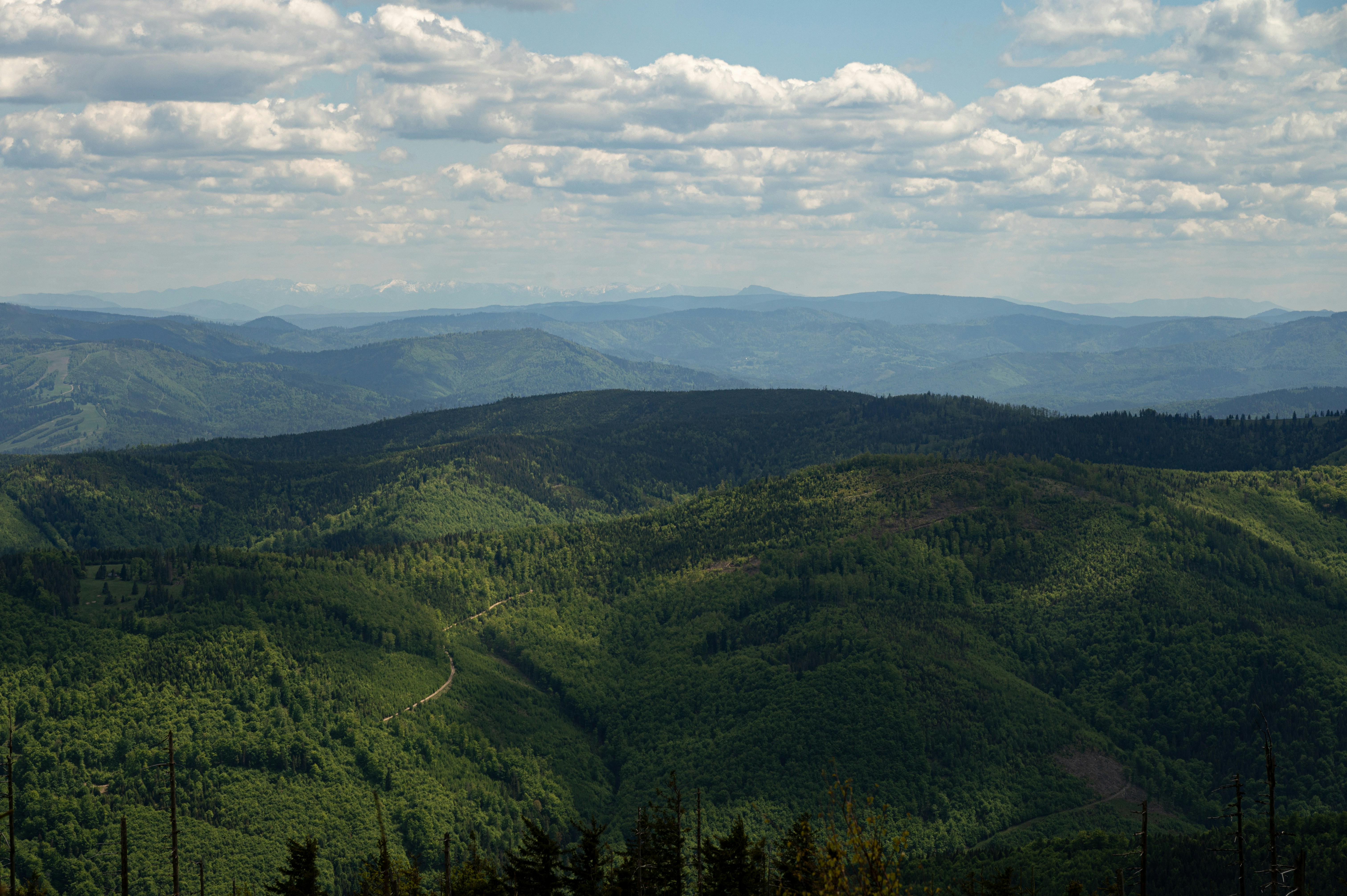 Photo by alexandra_p_d