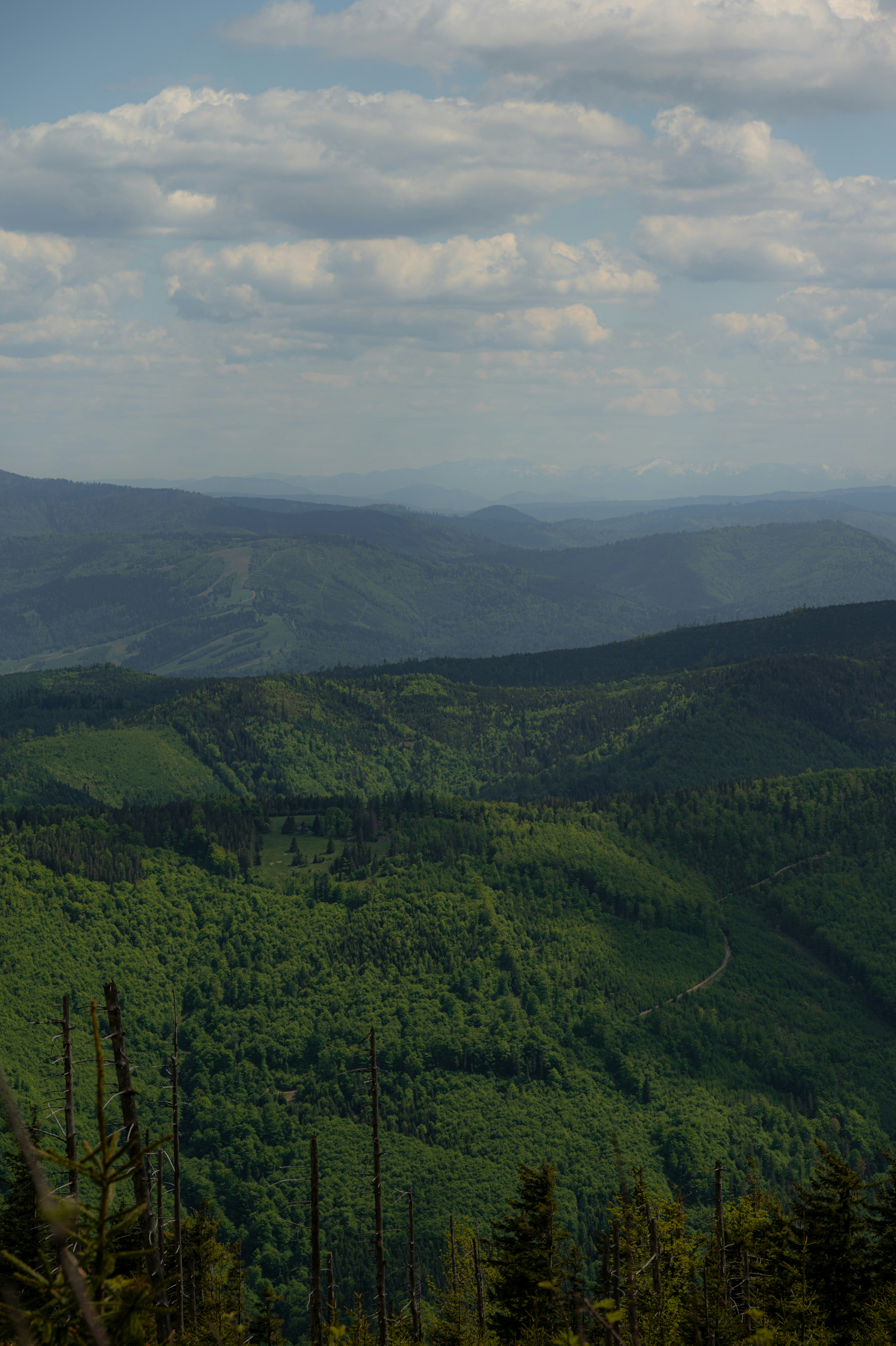 Photo by alexandra_p_d