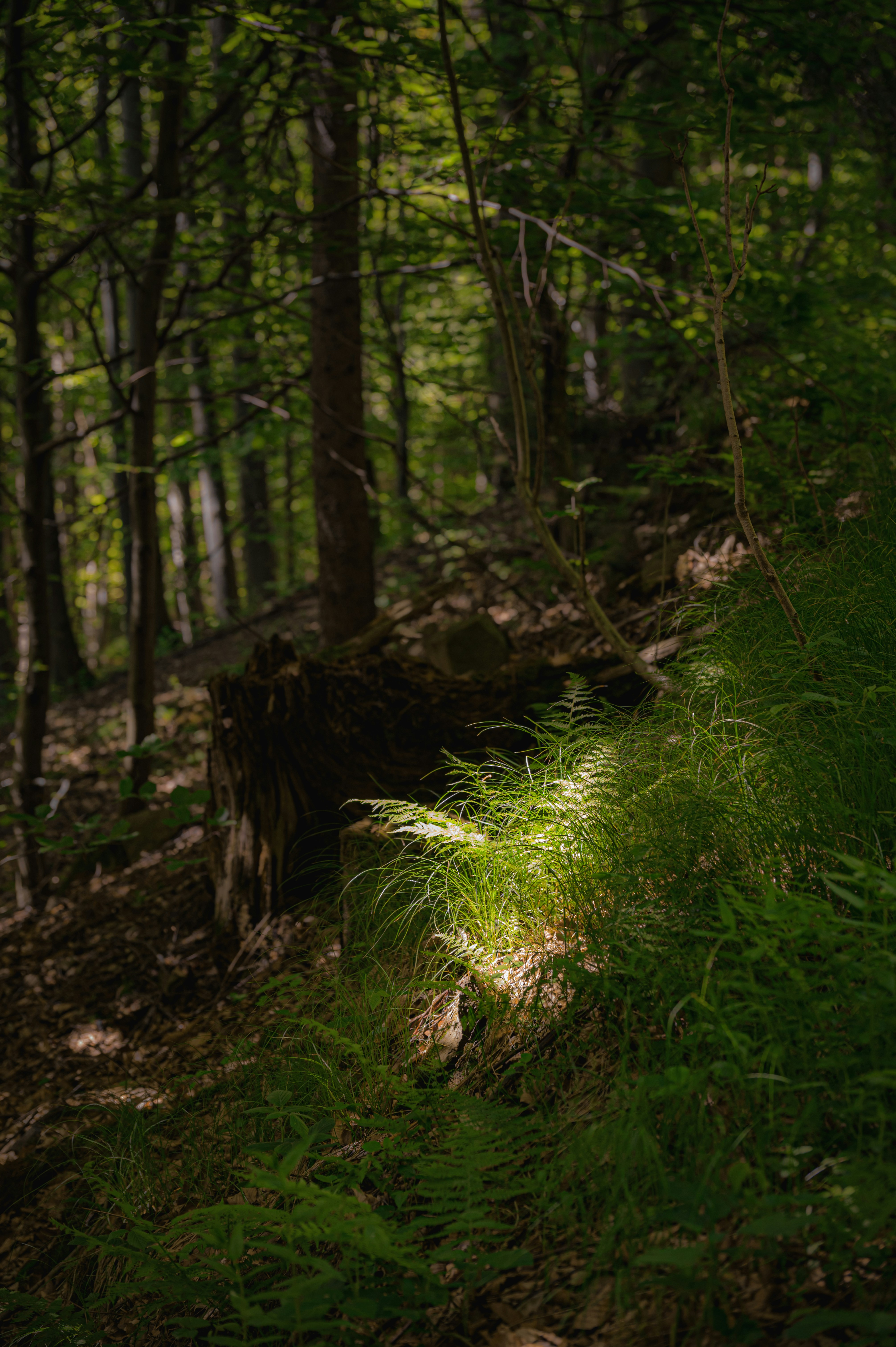 Photo by alexandra_p_d