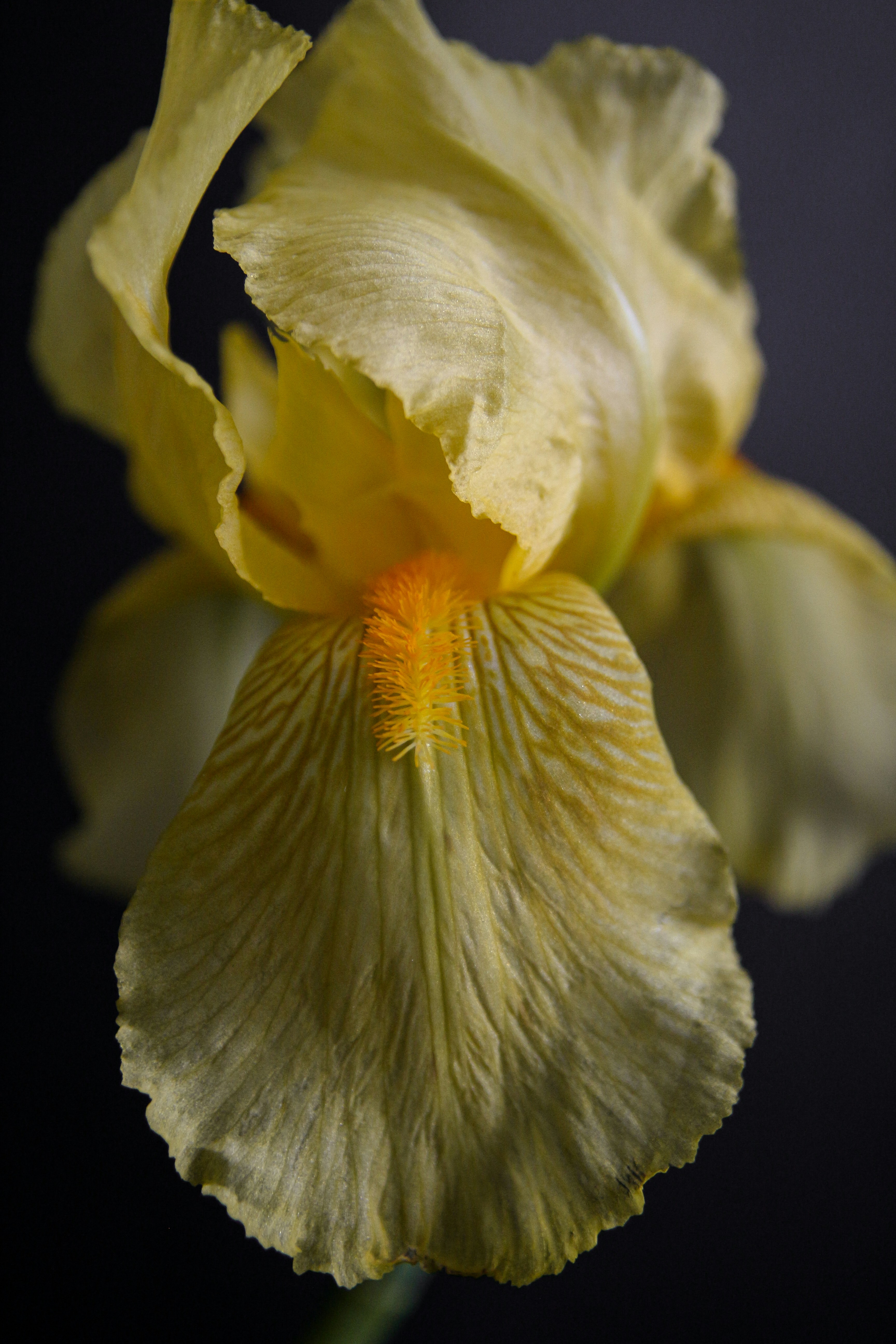 Photo by suleymanovae