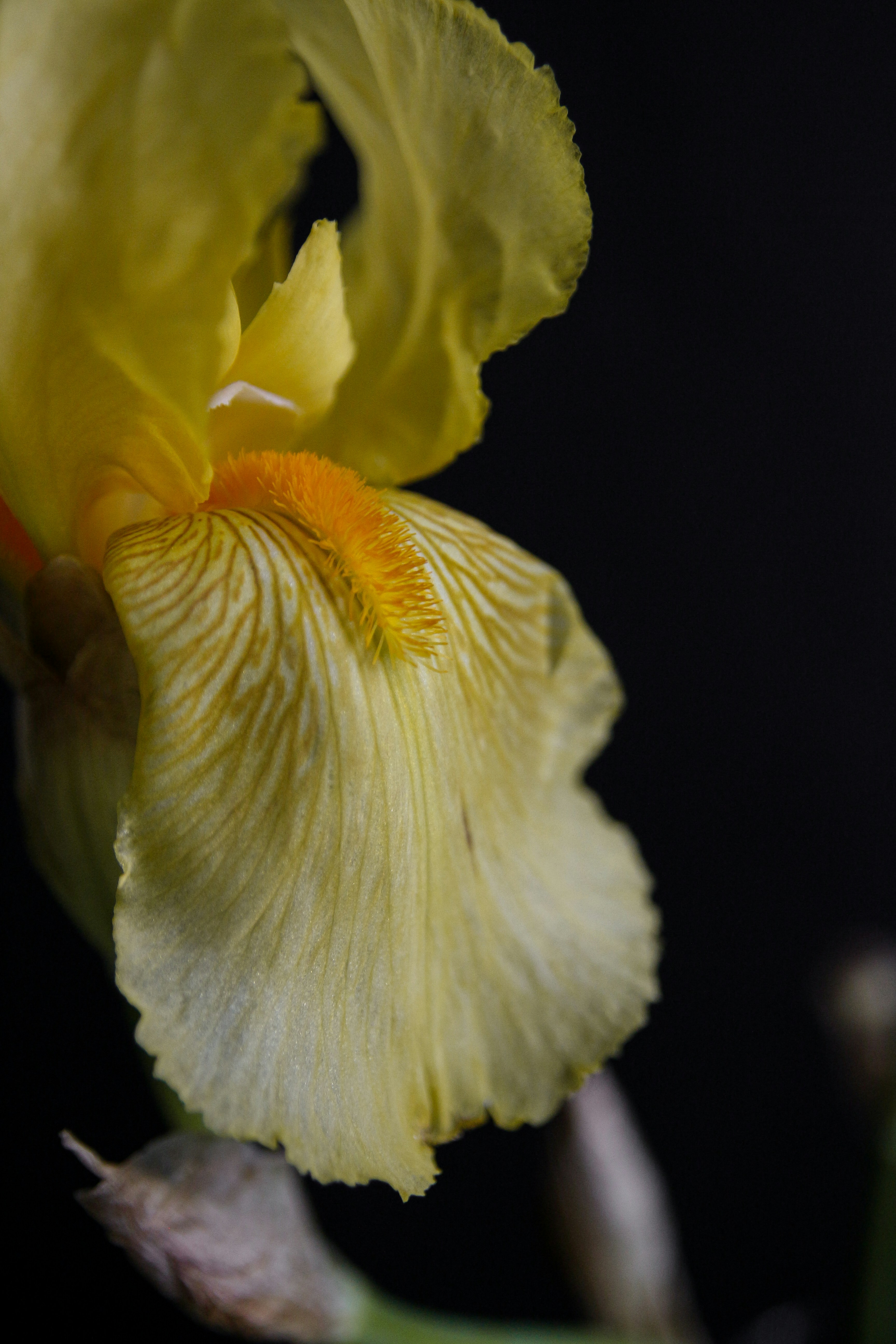 Photo by suleymanovae