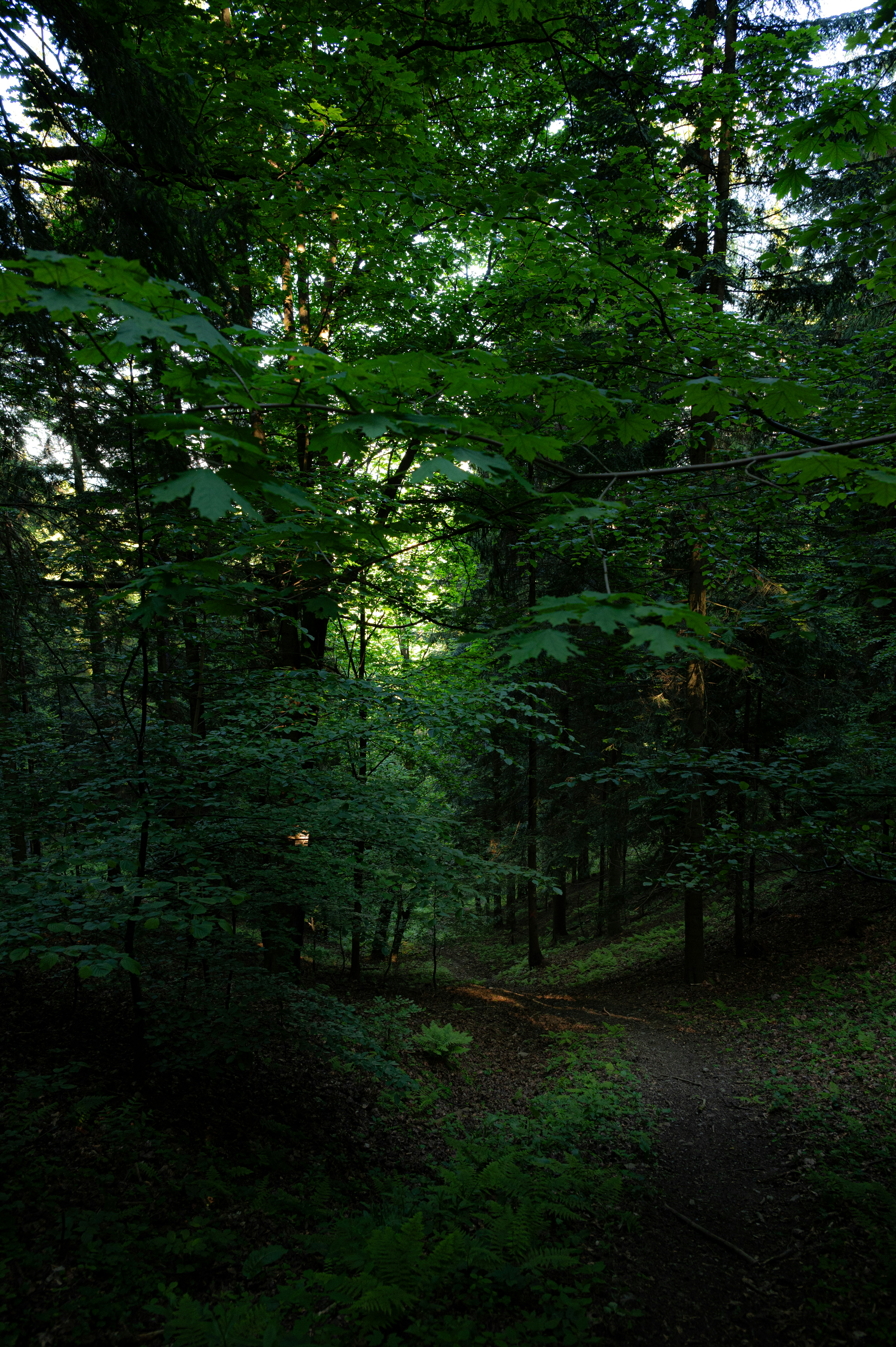 Photo by alexandra_p_d