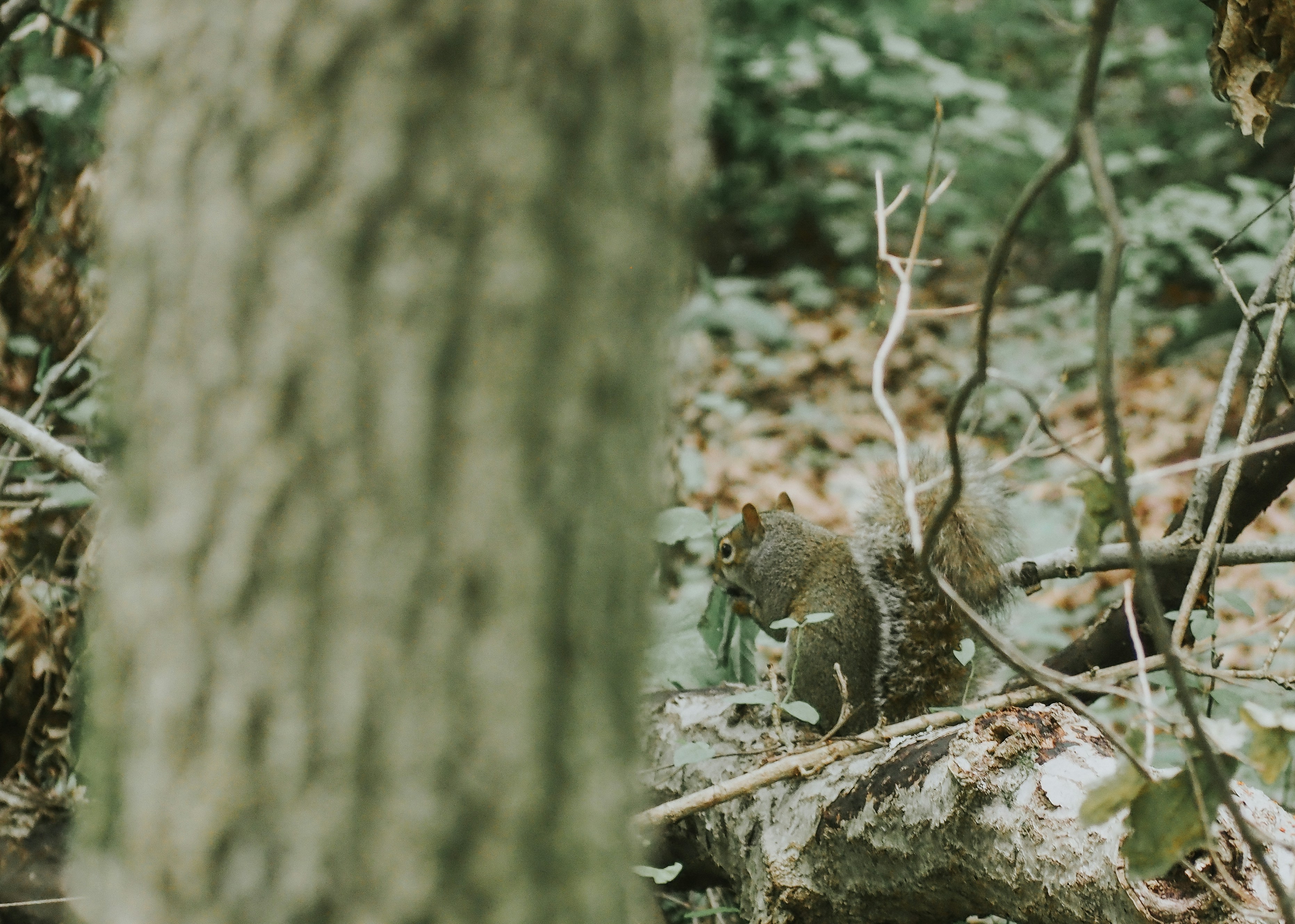 Photo by fieldworkframes