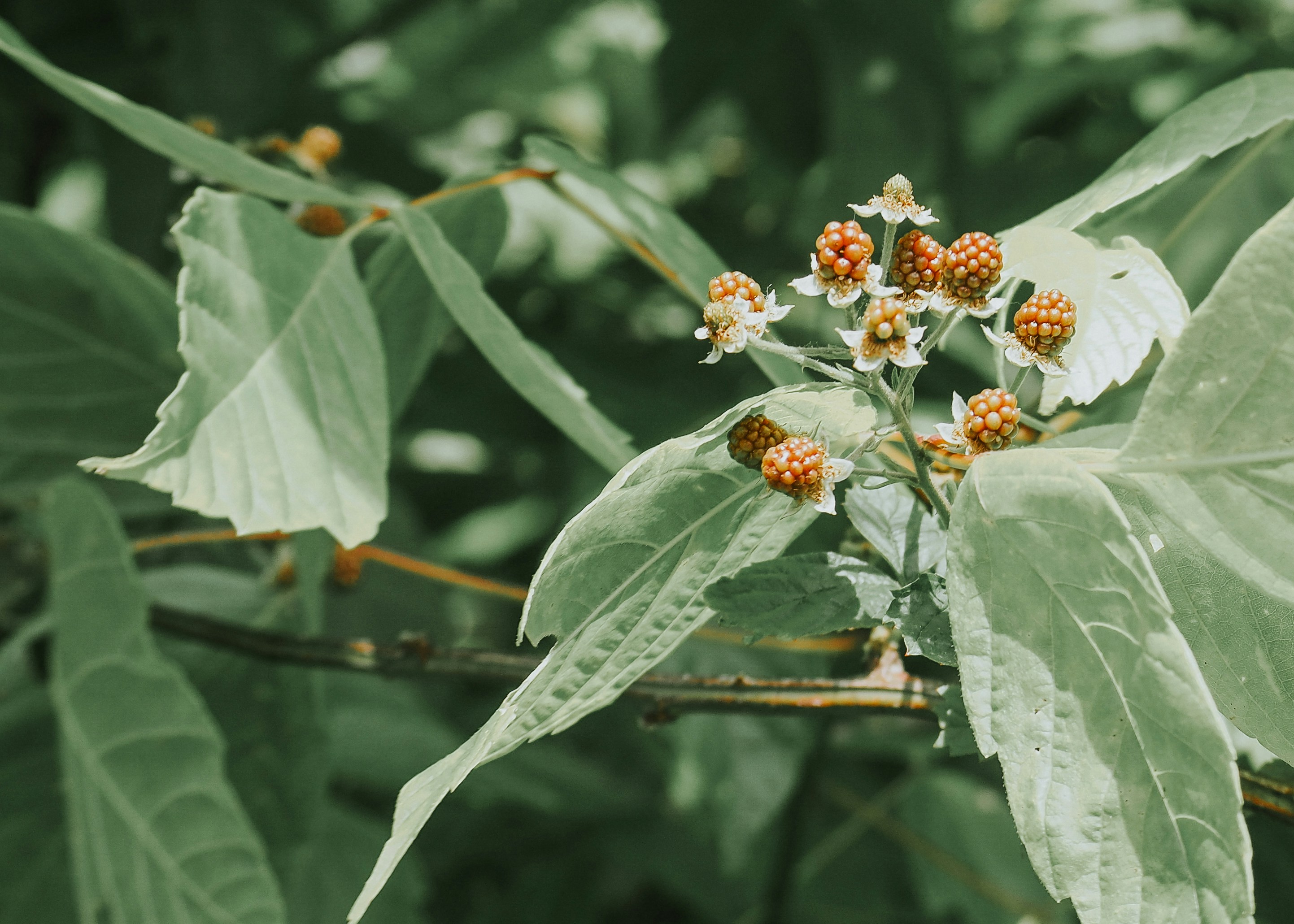 Photo by fieldworkframes