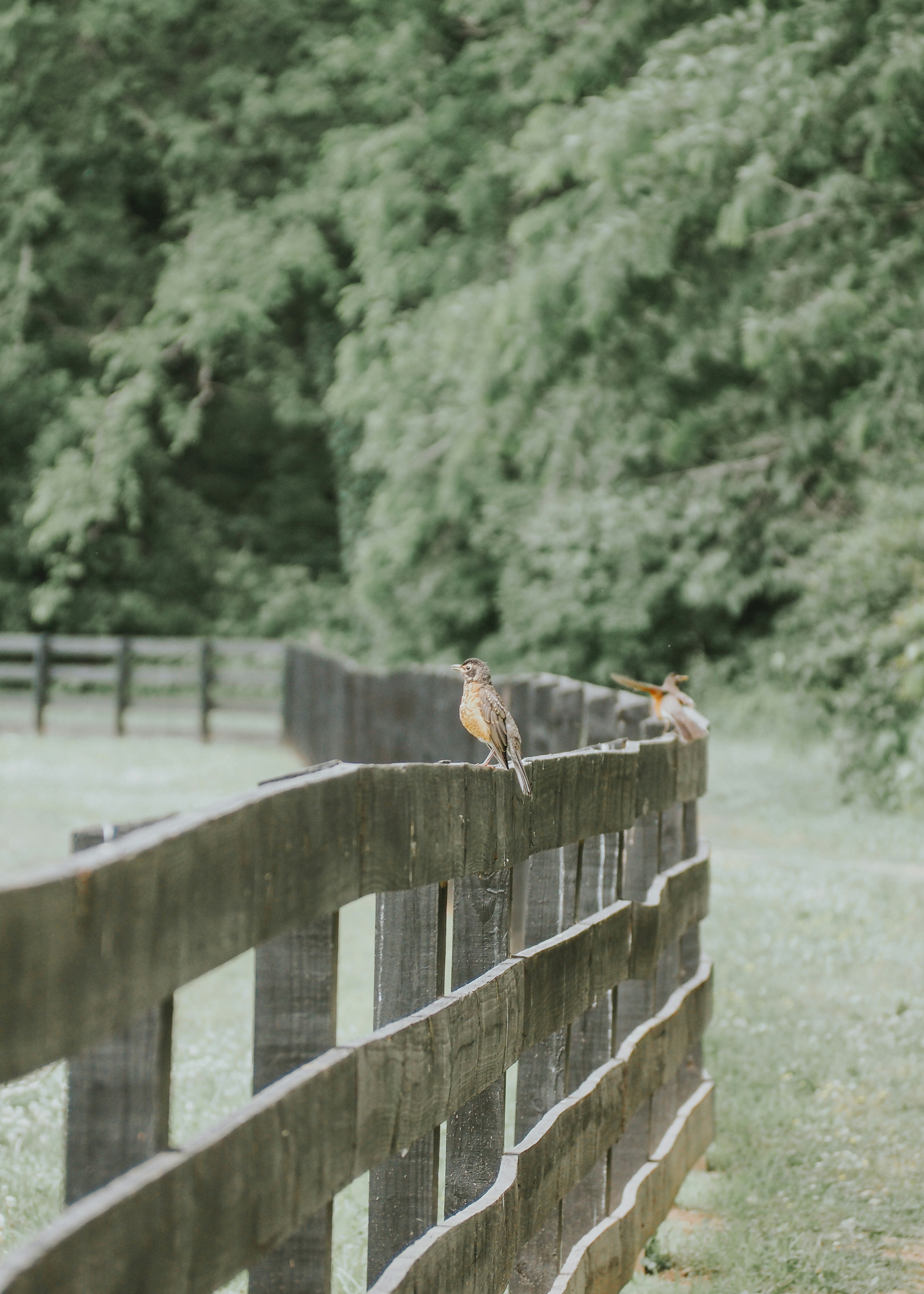 Photo by fieldworkframes