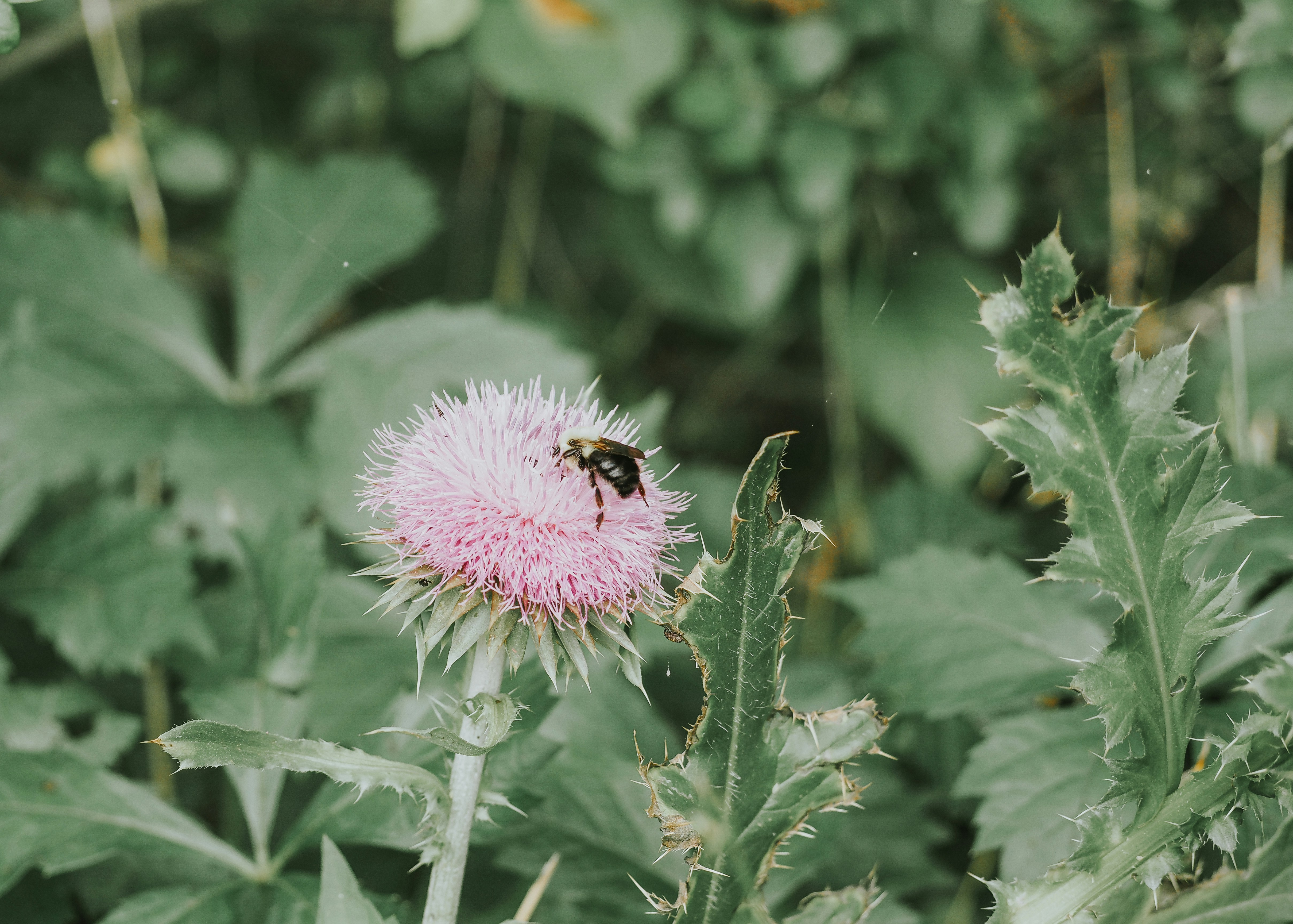 Photo by fieldworkframes