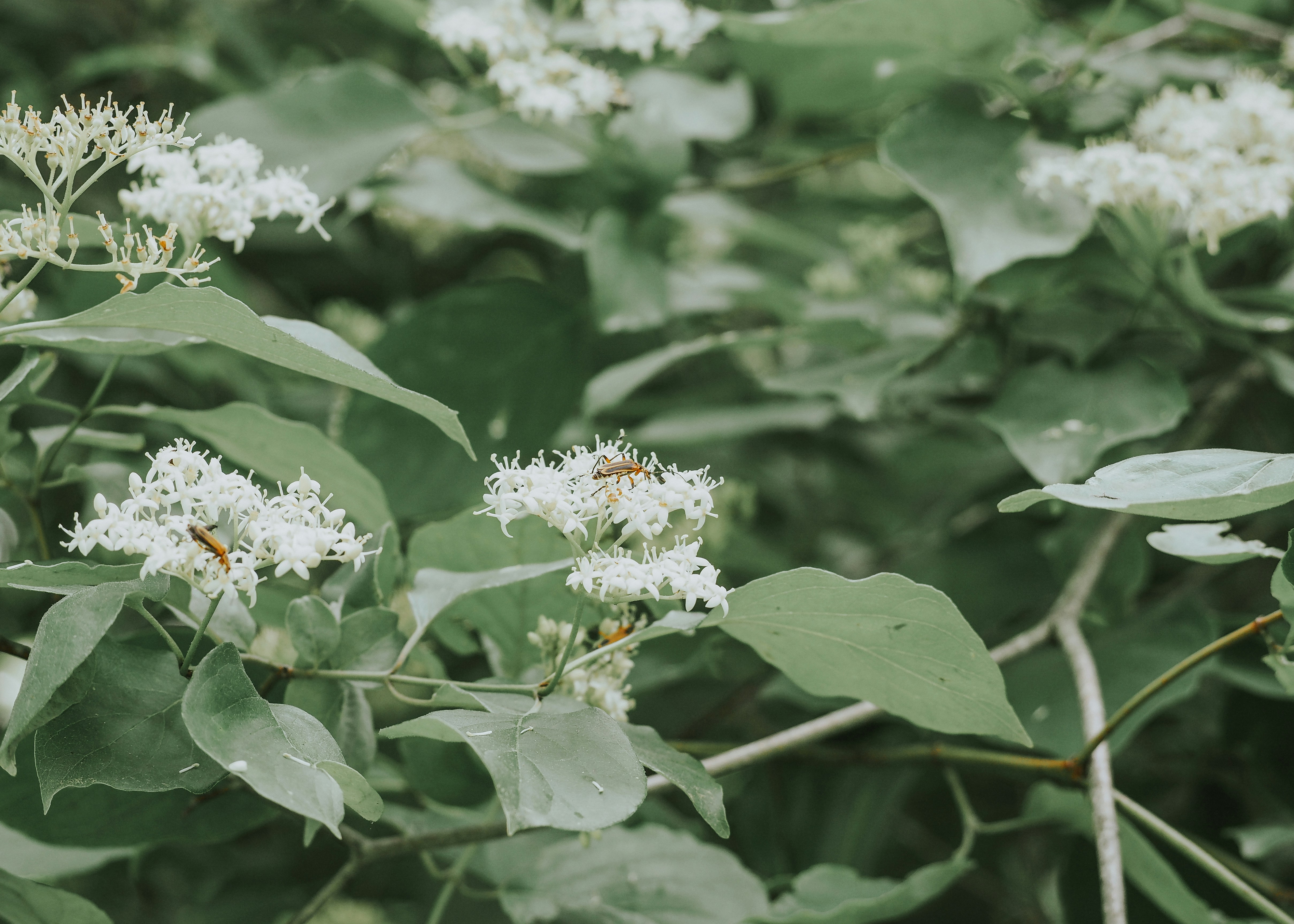 Photo by fieldworkframes