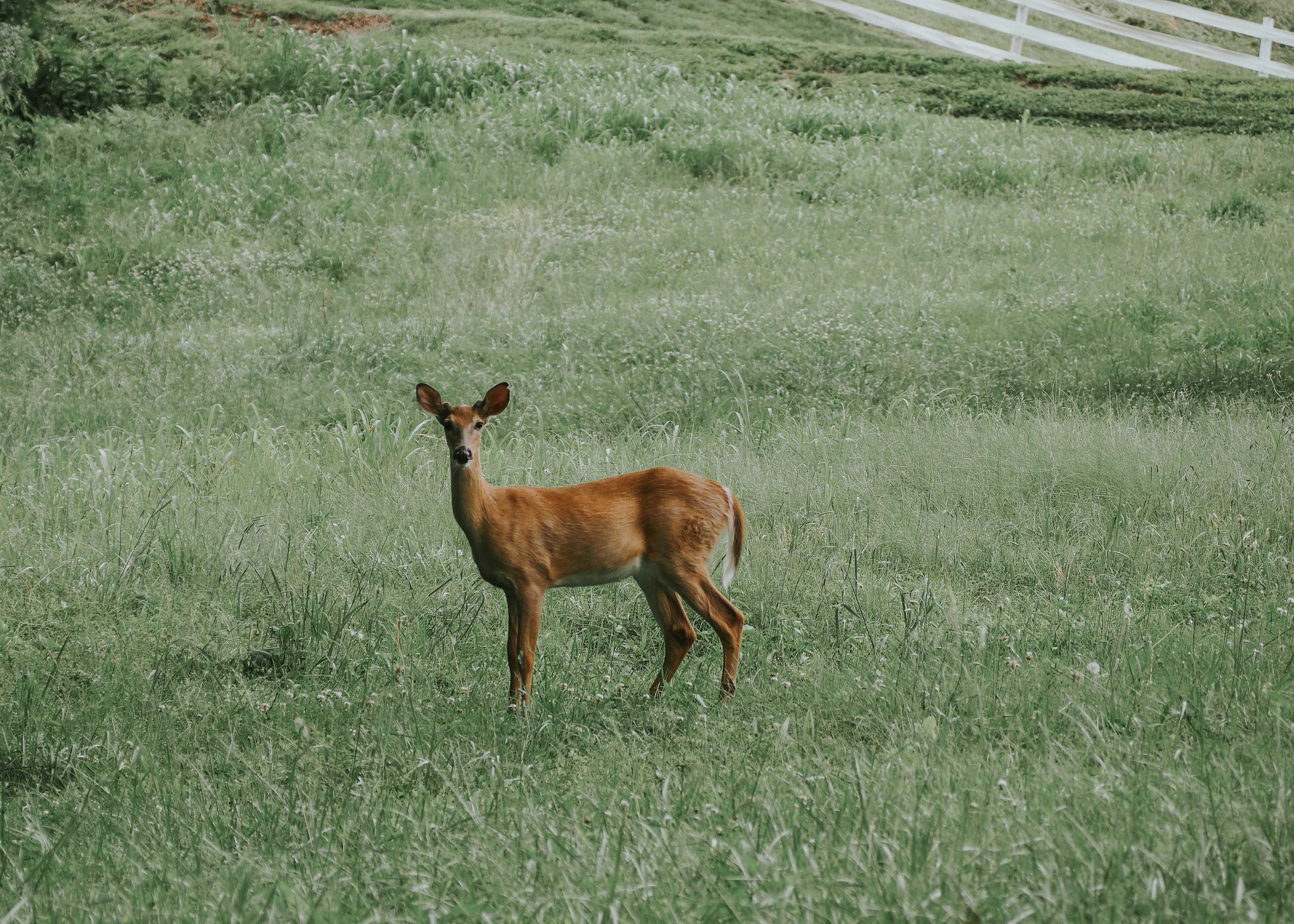Photo by fieldworkframes