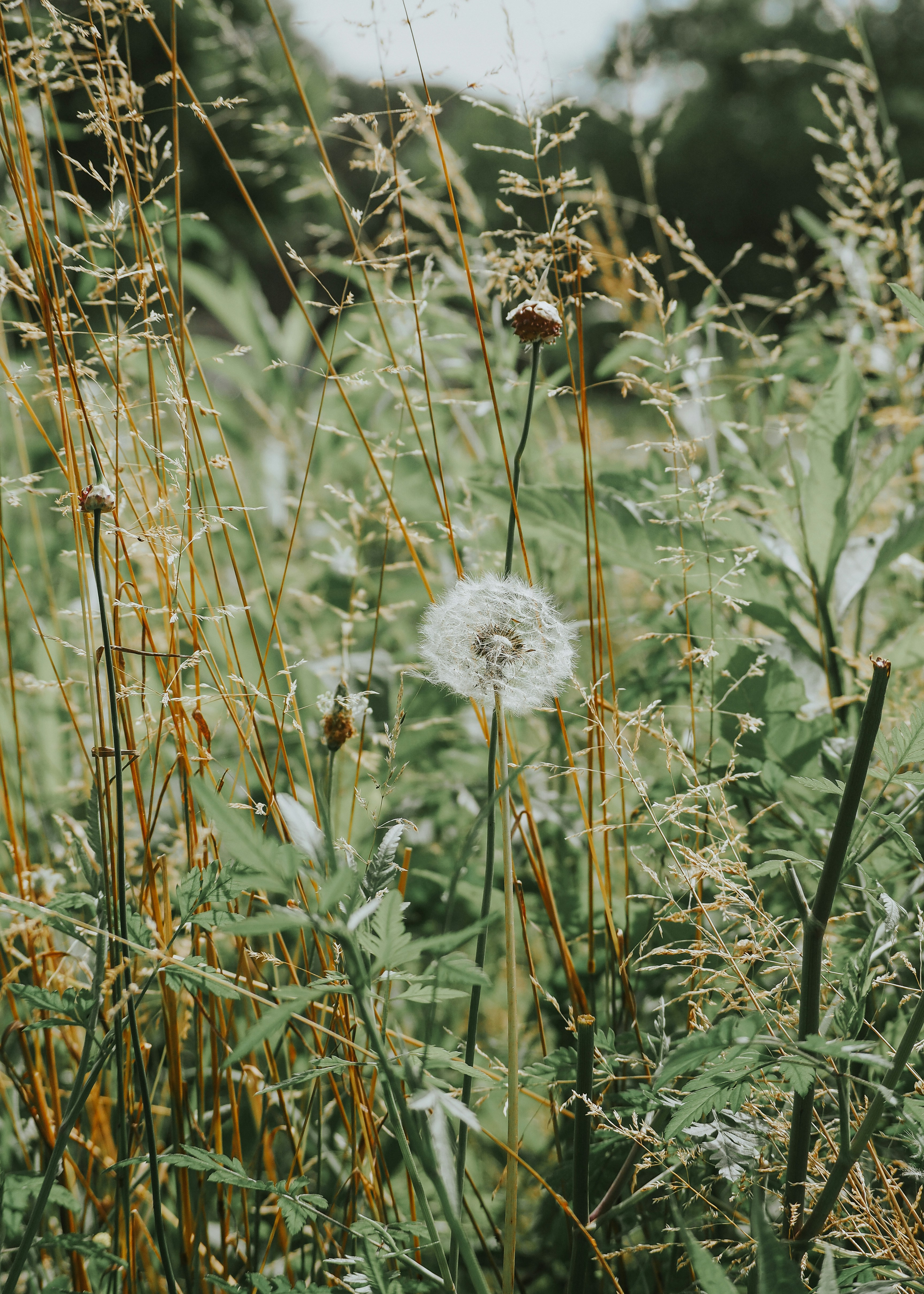 Photo by fieldworkframes