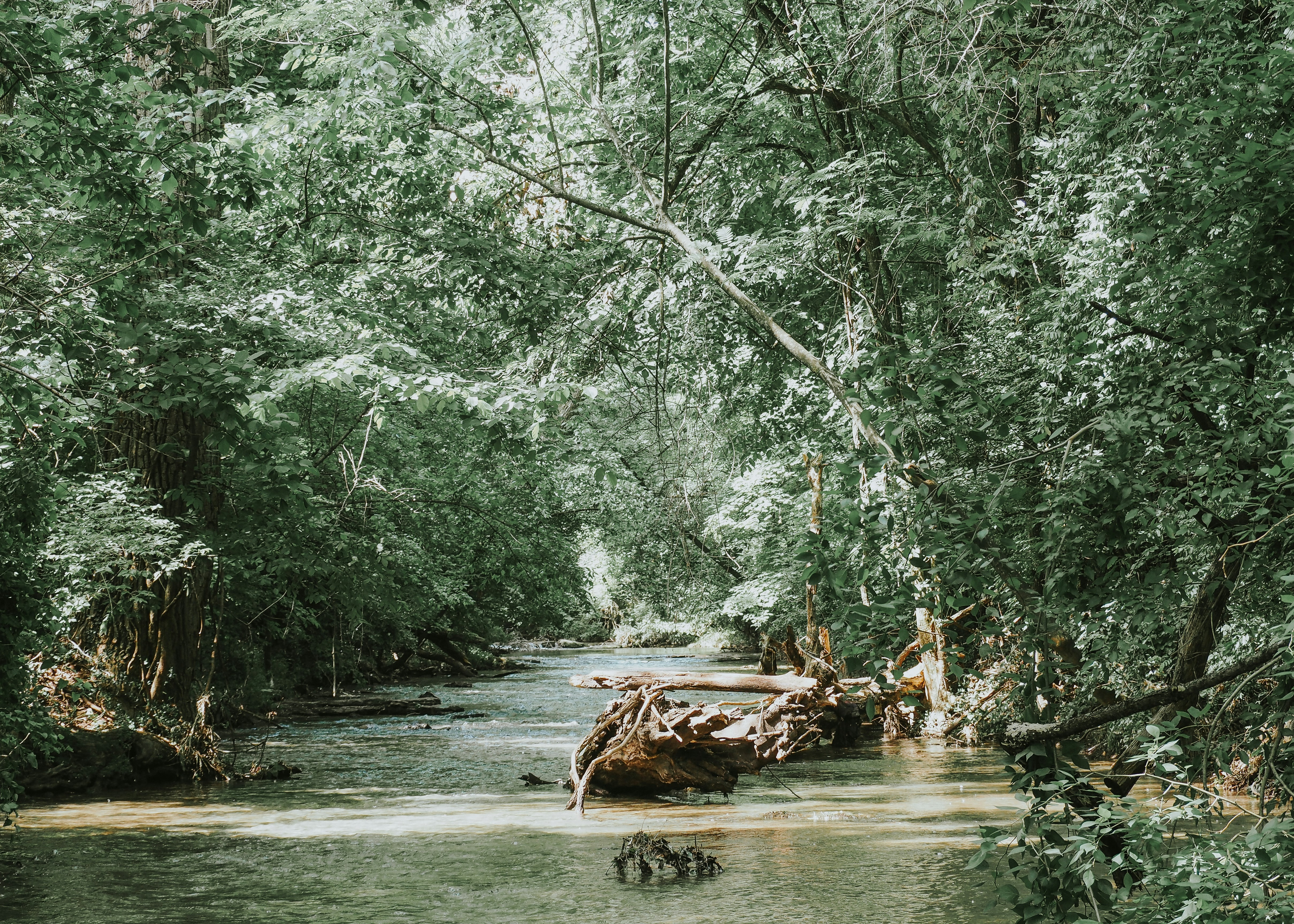 Photo by fieldworkframes