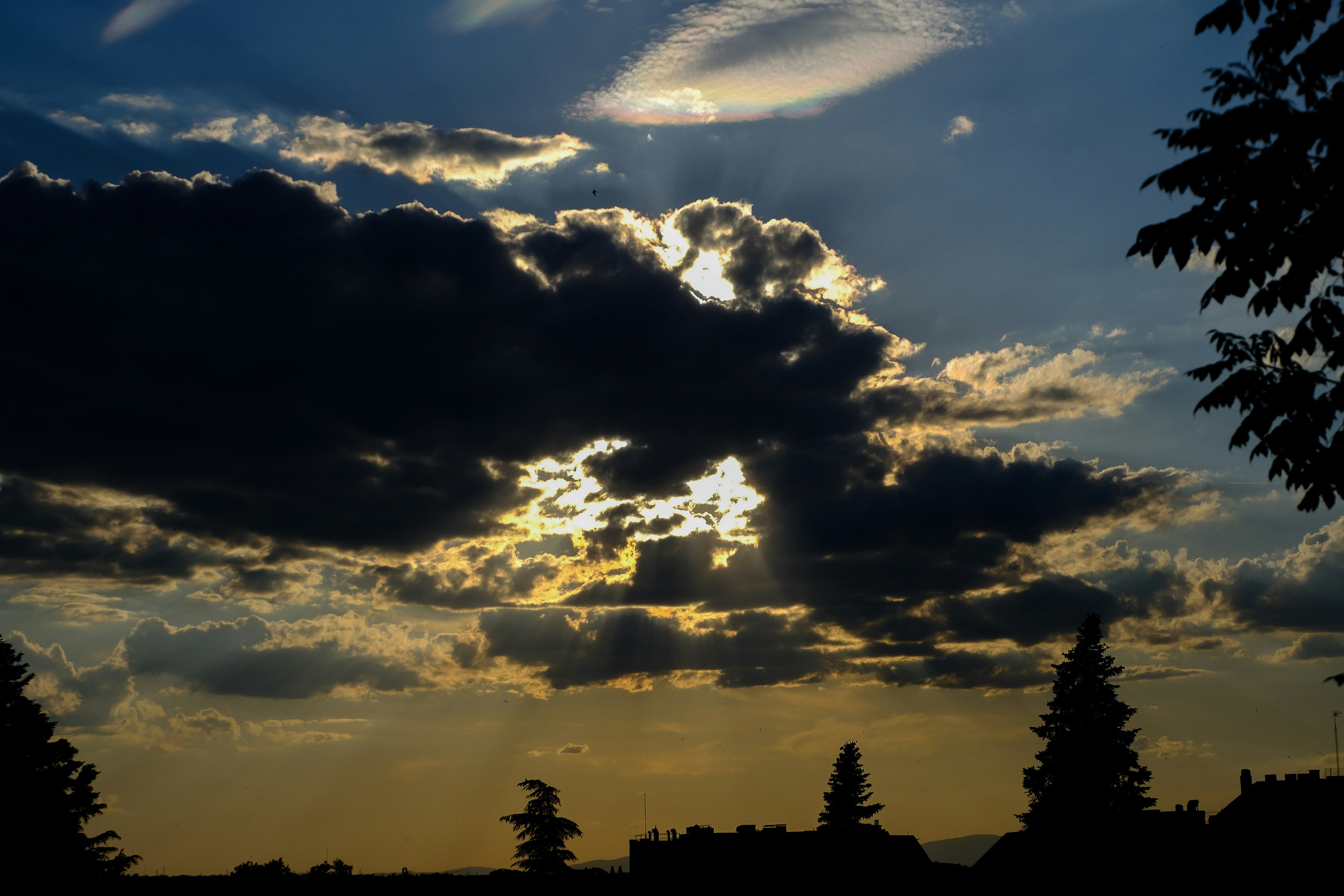 Photo by raulmermans