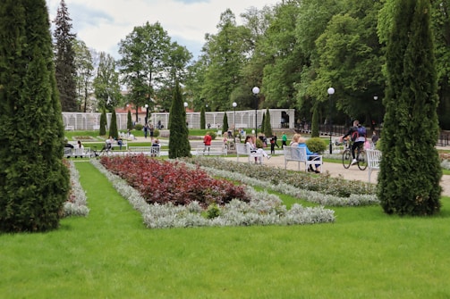 A beautiful park with lush greenery and flowers.