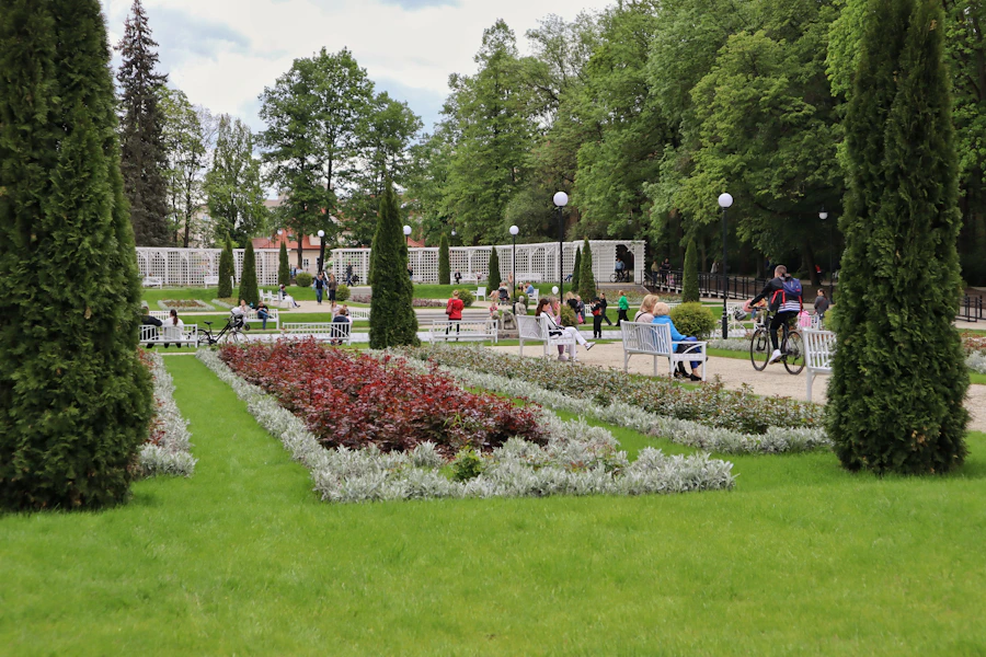 Białystok rose garden with summer flowers