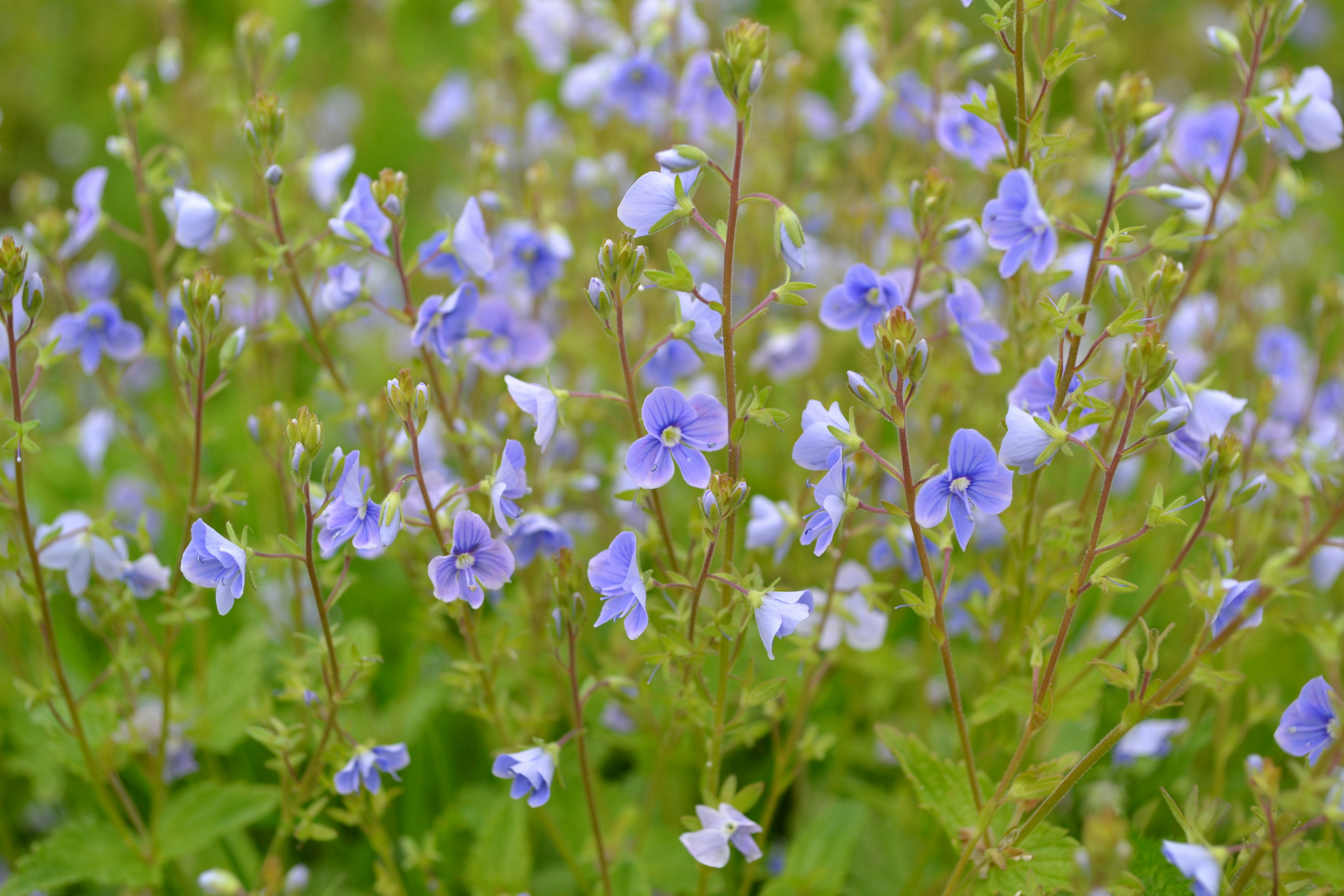 Photo by eugenegrunge