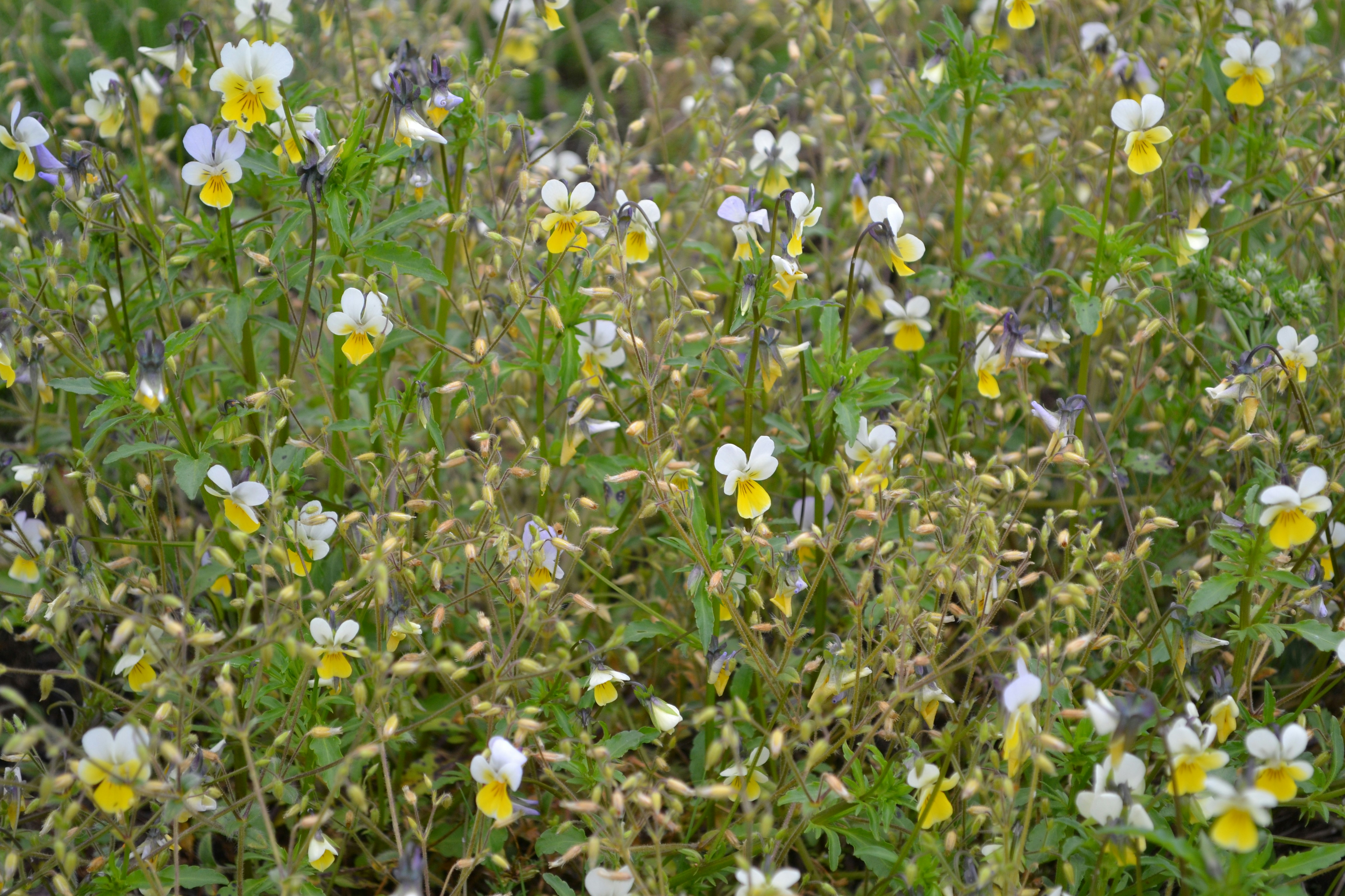 Photo by eugenegrunge