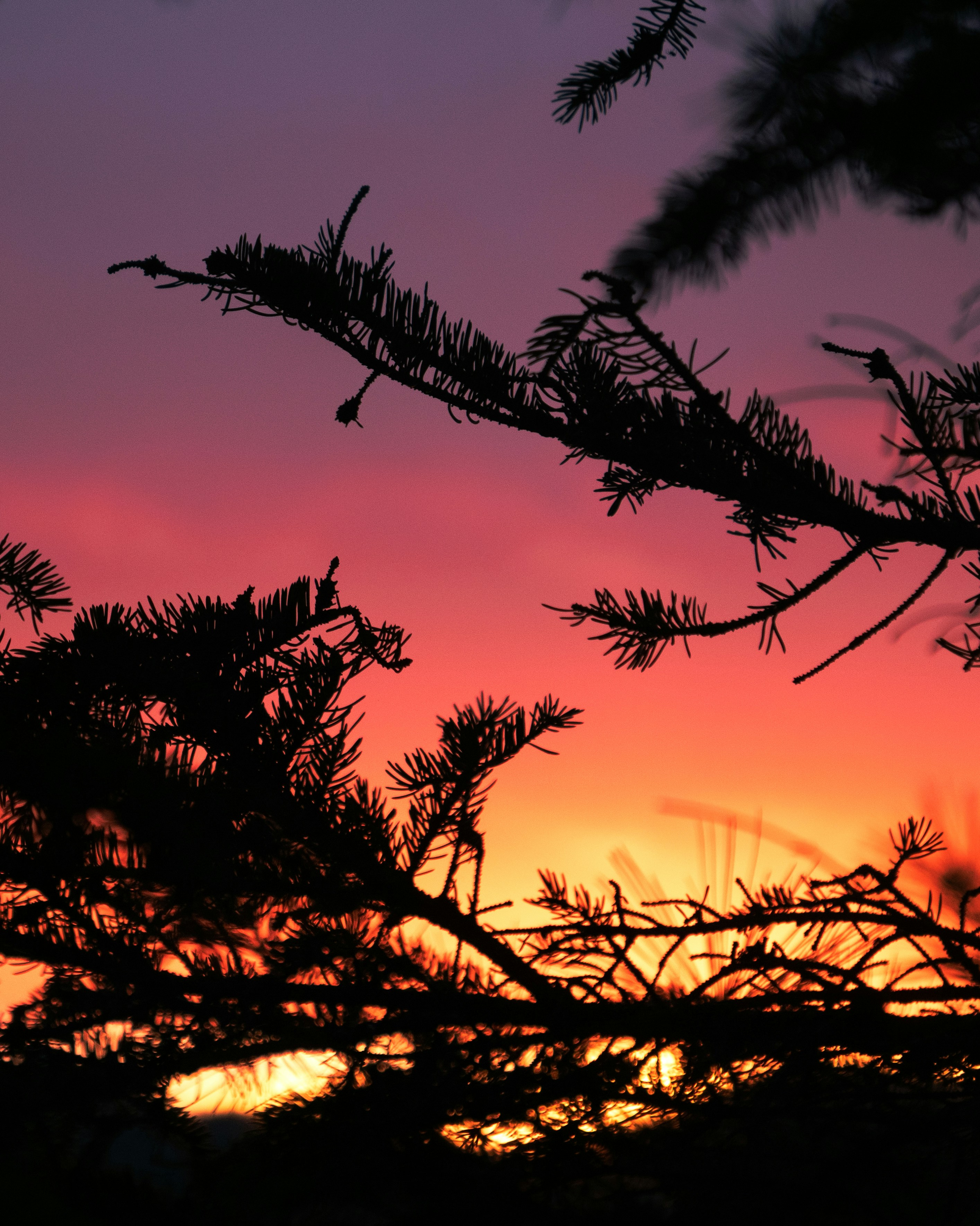 Photo by storybyphil