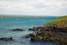 Ocean view of a rocky shore and boats.